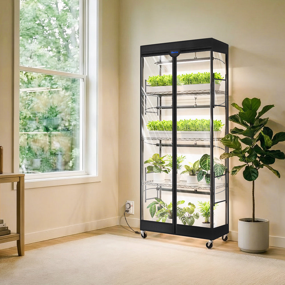 The Art of Lighting: Your Plant Shelves