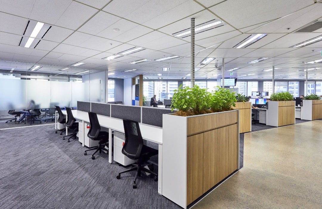 LED Linear Light and Suspended Ceiling - Barrina led