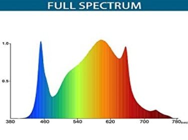 The Effect of Lighting Parameters on Plants - Barrina led