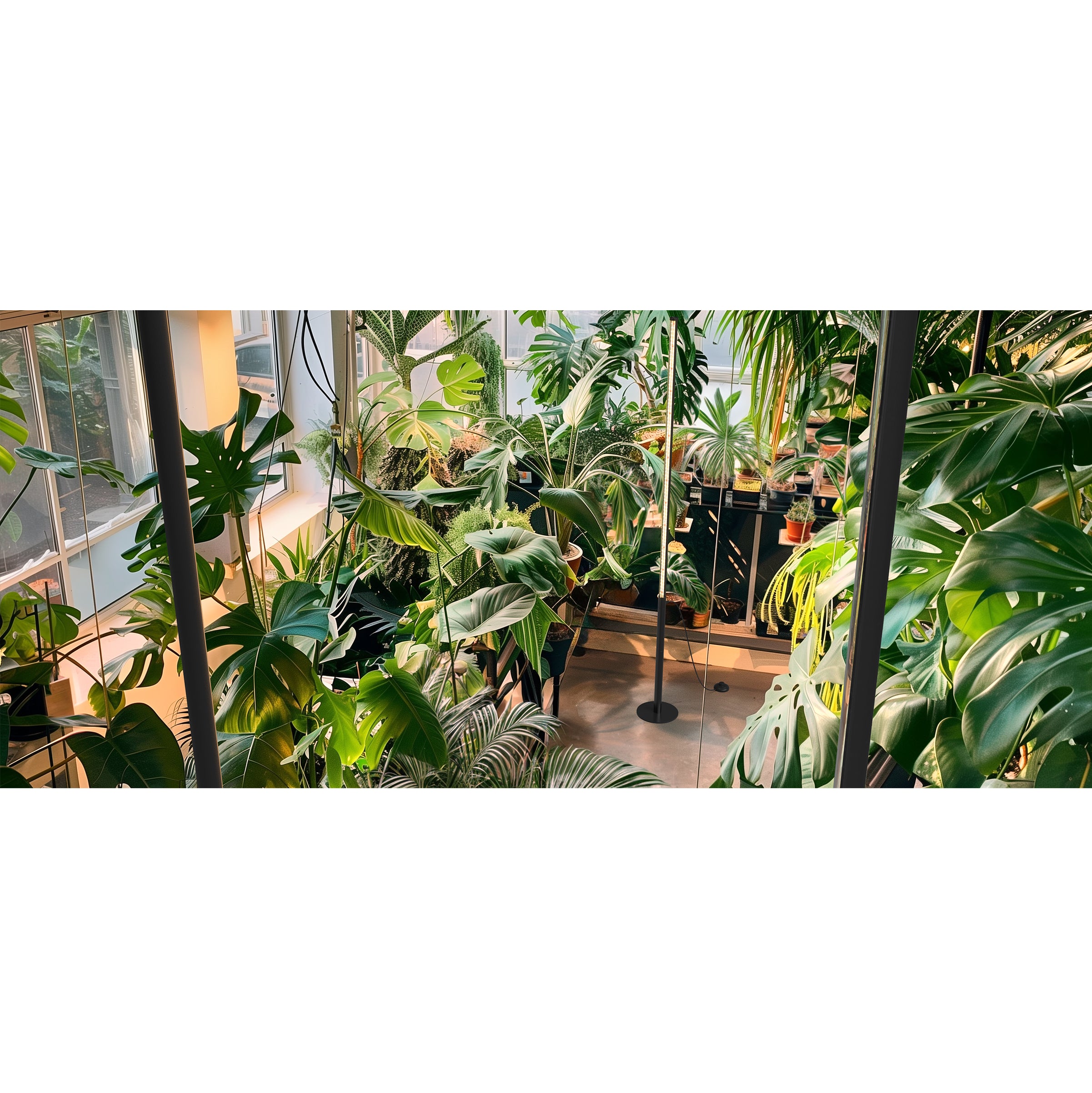Barrina Tera (T10) Series | Grow Lights for Indoor Plants | Grow Lights For Monstera