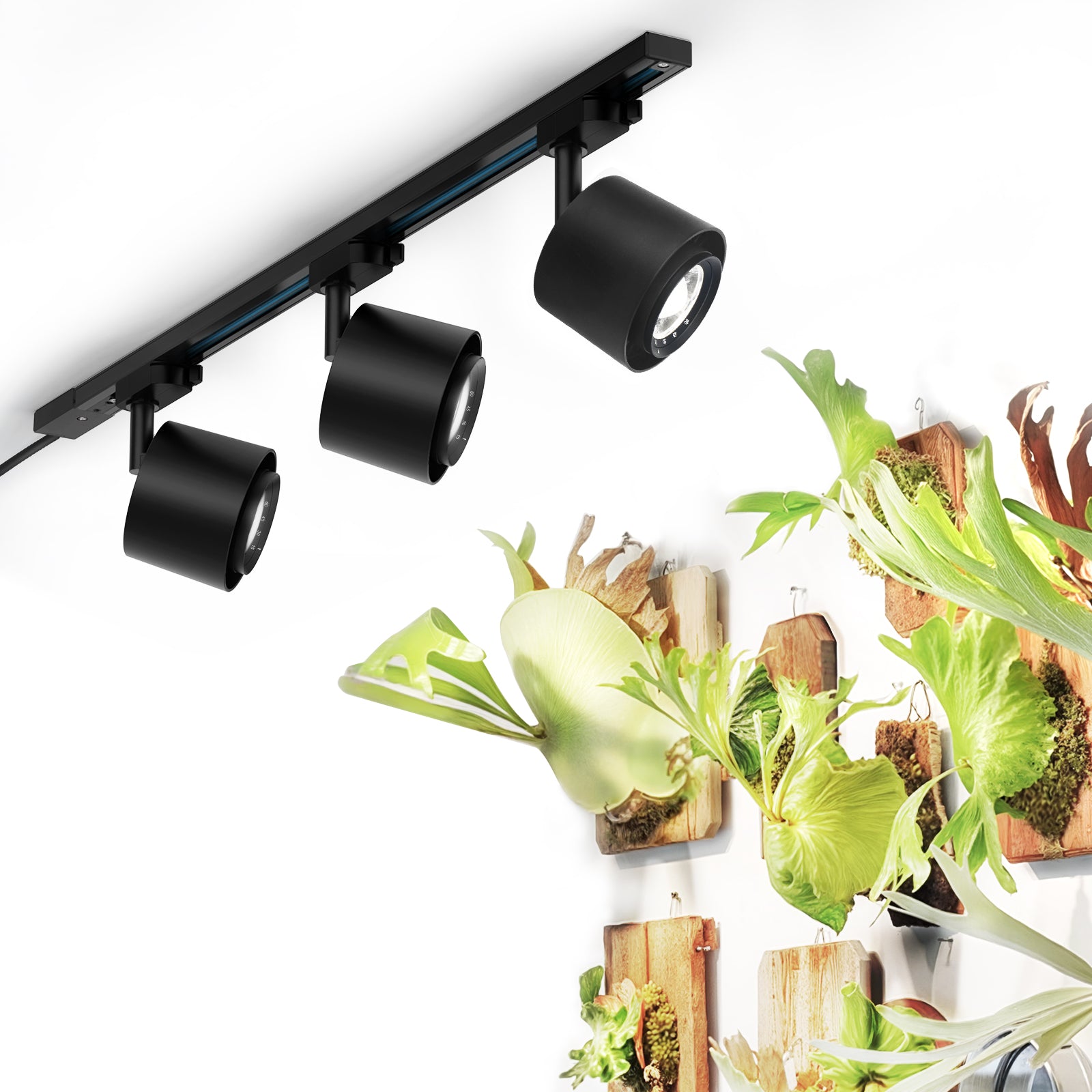 Barrina TR40c 3 x 40W LED Grow Lights 5000K | Full Spectrum, Ceiling Track & Timer | TR40c (Black)