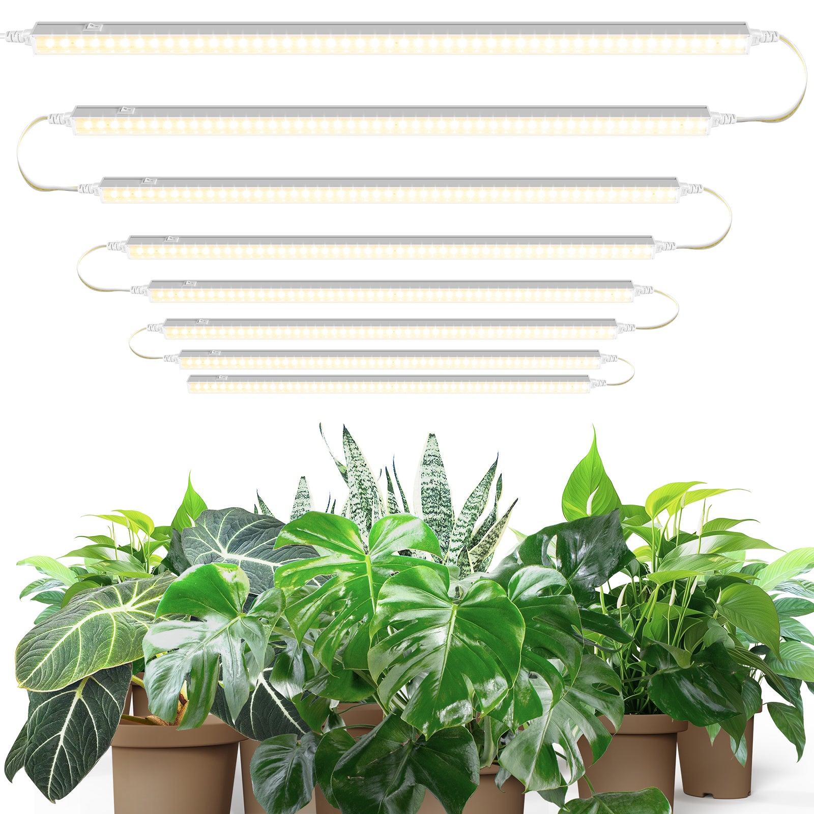 Barrina T5 10W LED Grow Light 2FT Yellow Light 8 Pack | Linkable | MF10