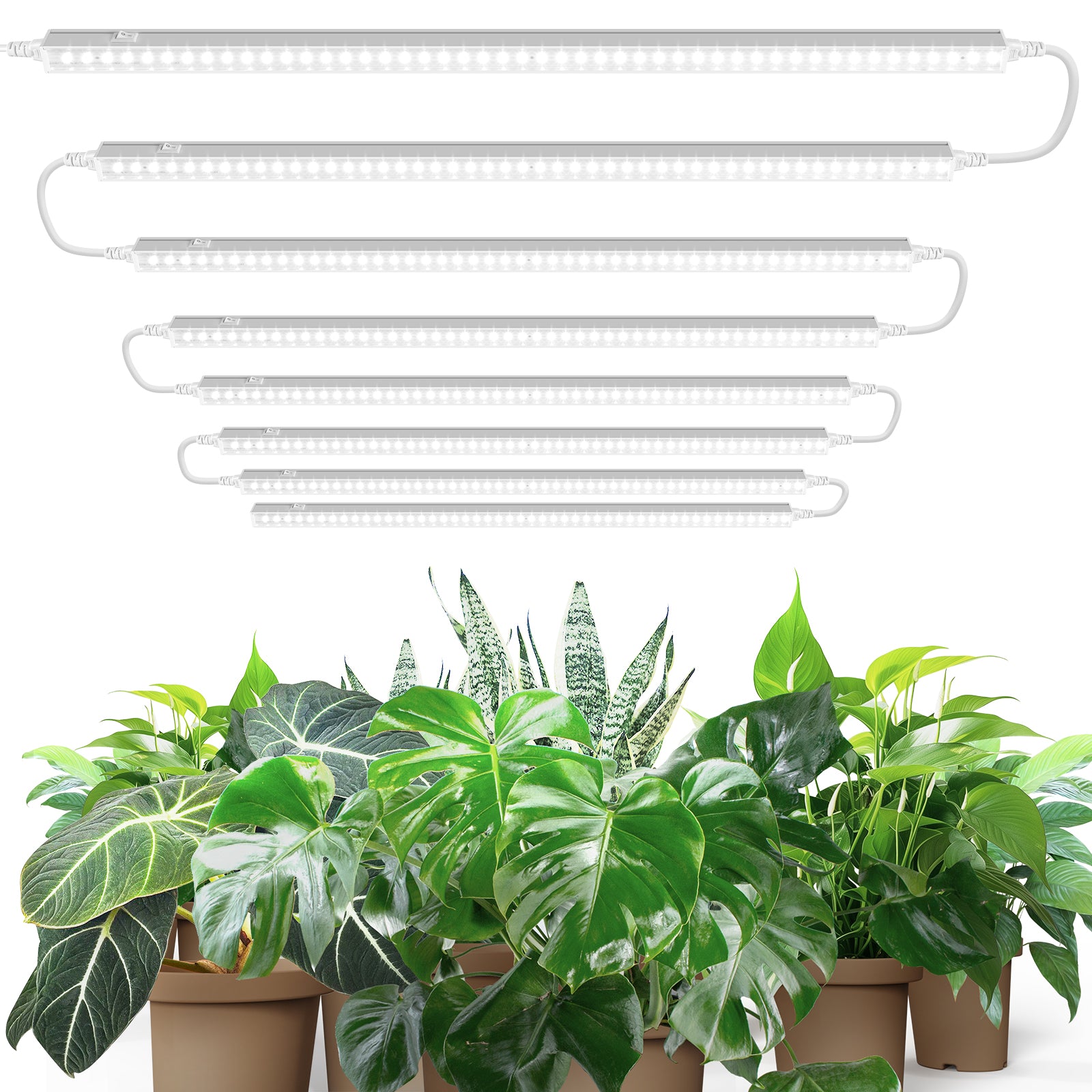 Barrina T5 10W LED Grow Lights 2FT 5000K 8 Pack | Full Spectrum & Linkable | MF10