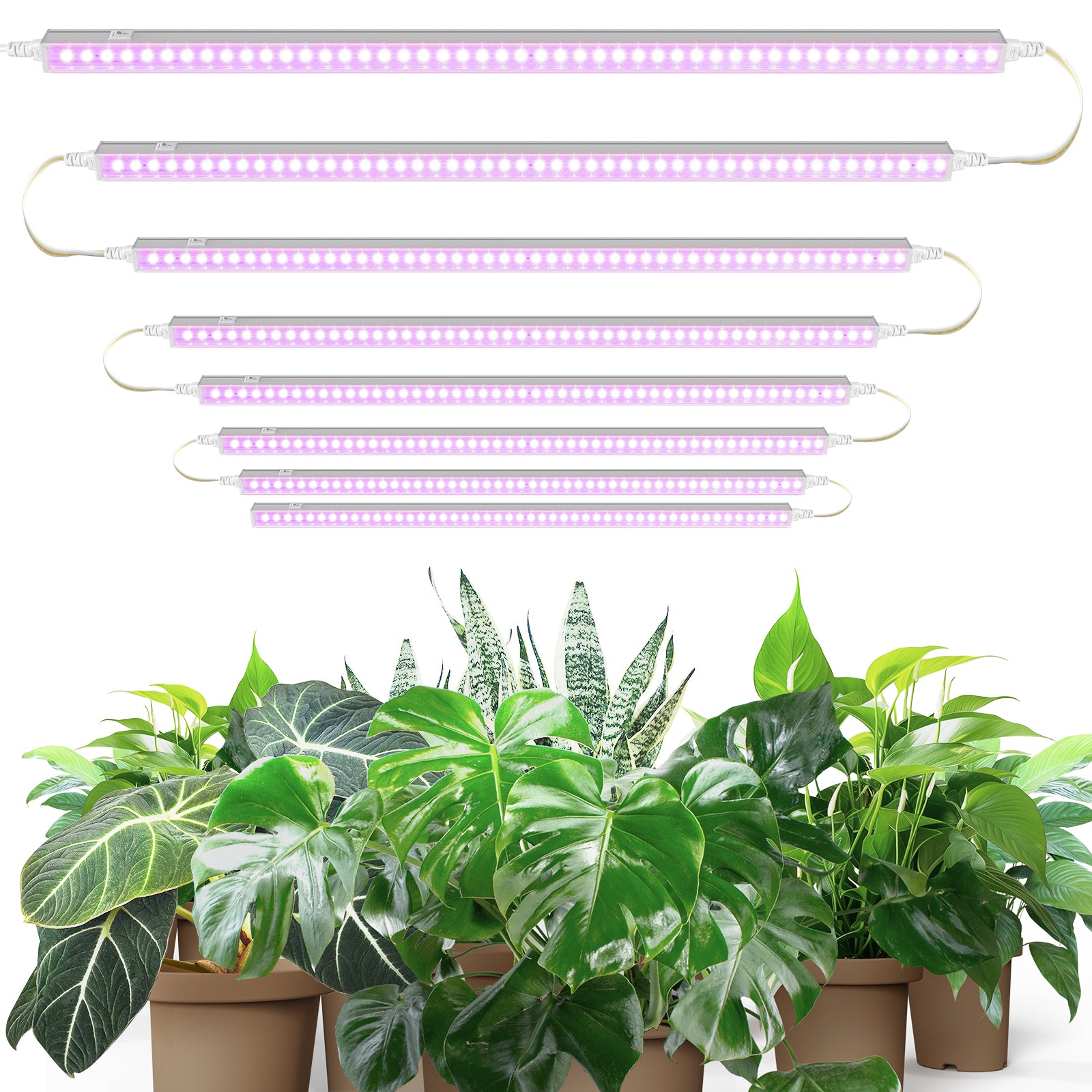 Barrina T5 10W LED Grow Lights 2FT Pink Light 8 Pack | Linkable | MF10