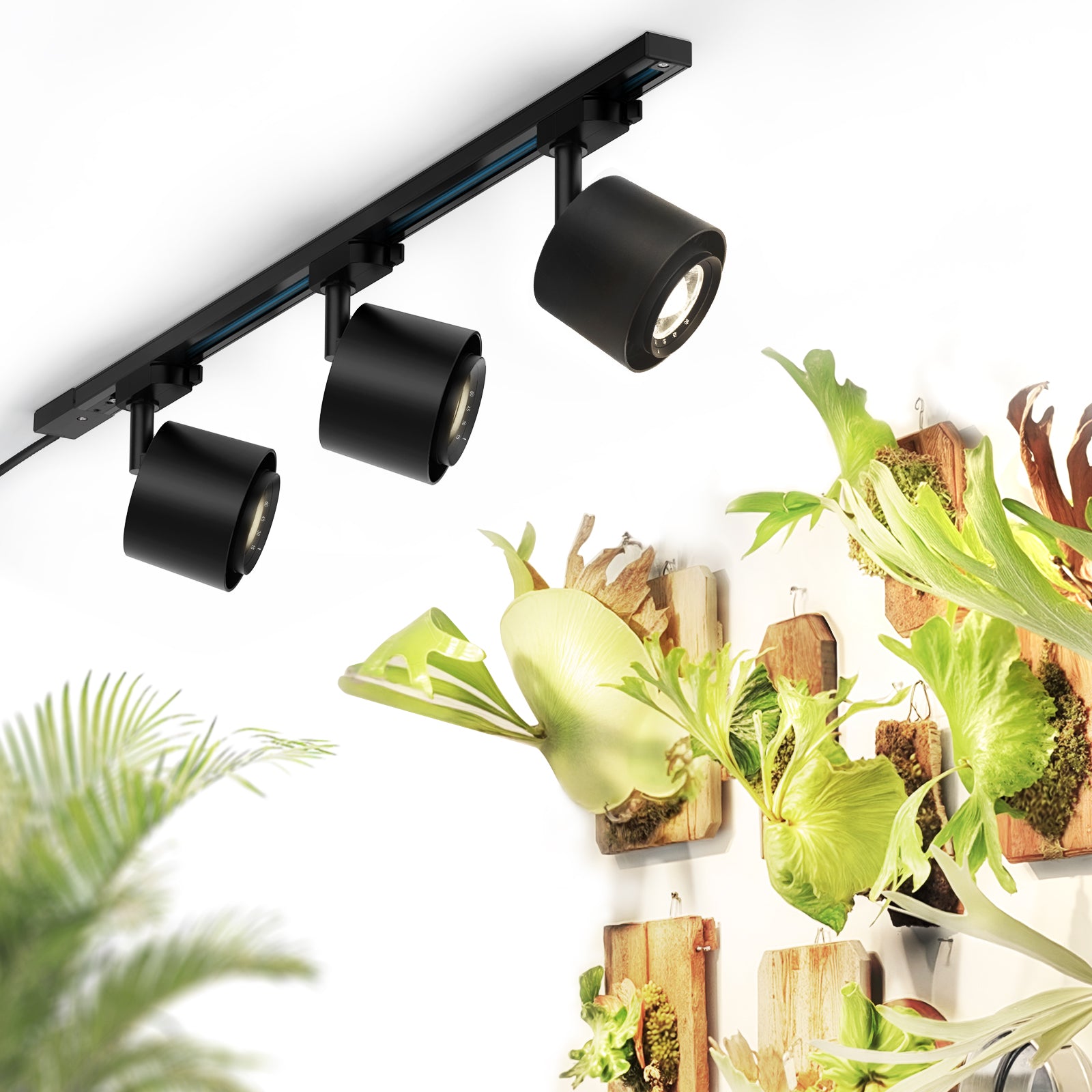 Barrina TR40c 3 x 40W LED Track Grow Lights 4000K | Full Spectrum, Ceiling Track & Timer | TR40c (Black)