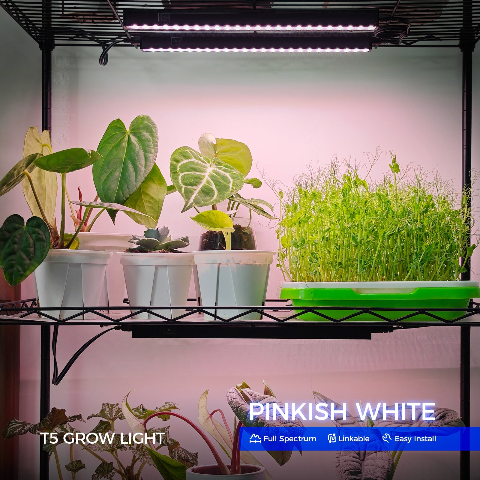 Barrina T5 5W LED Grow Lights 1FT Pinkish White | Grow Light Strips