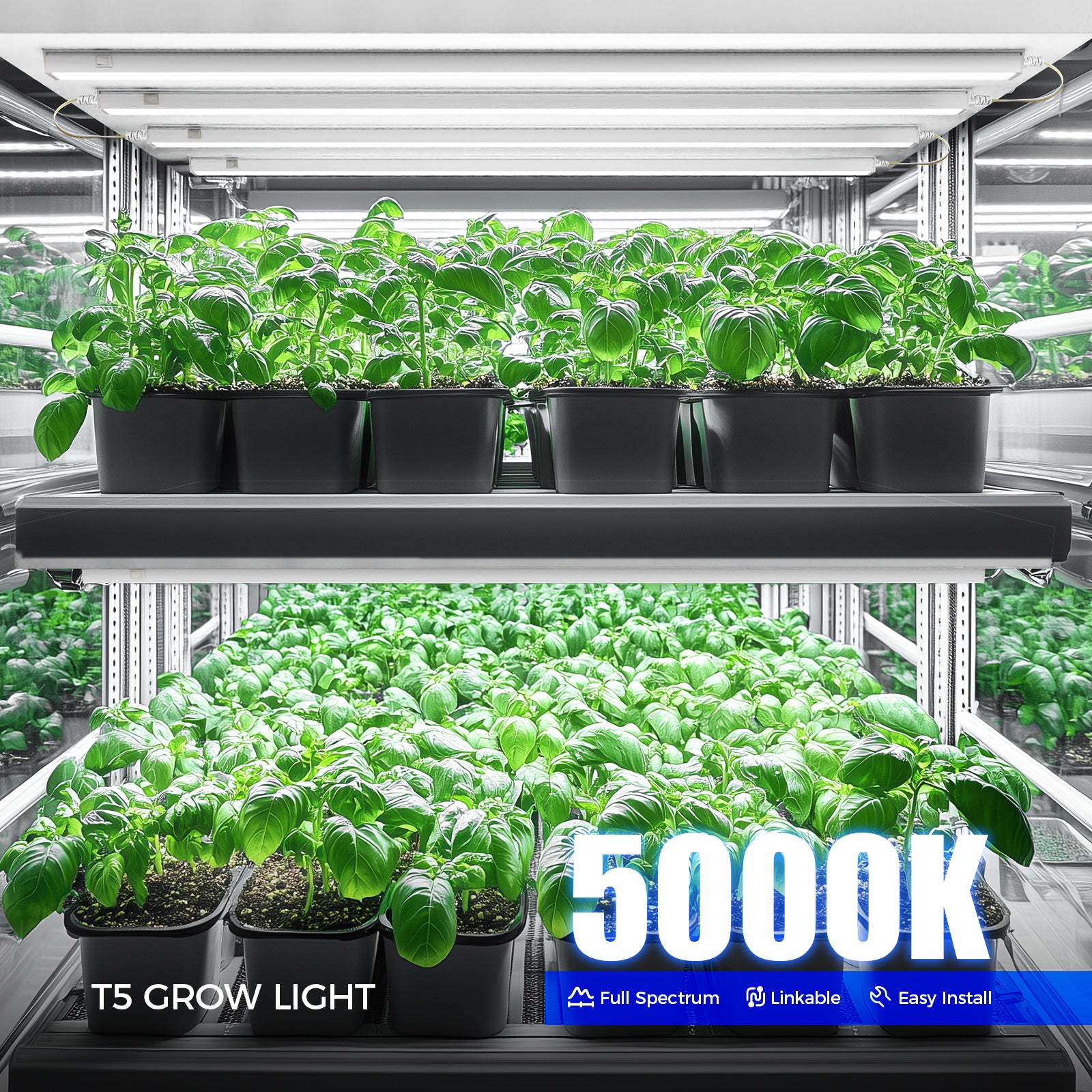 Barrina T5 20W LED Grow Lights 4FT 5000K | Full Spectrum & Linkable | ML20