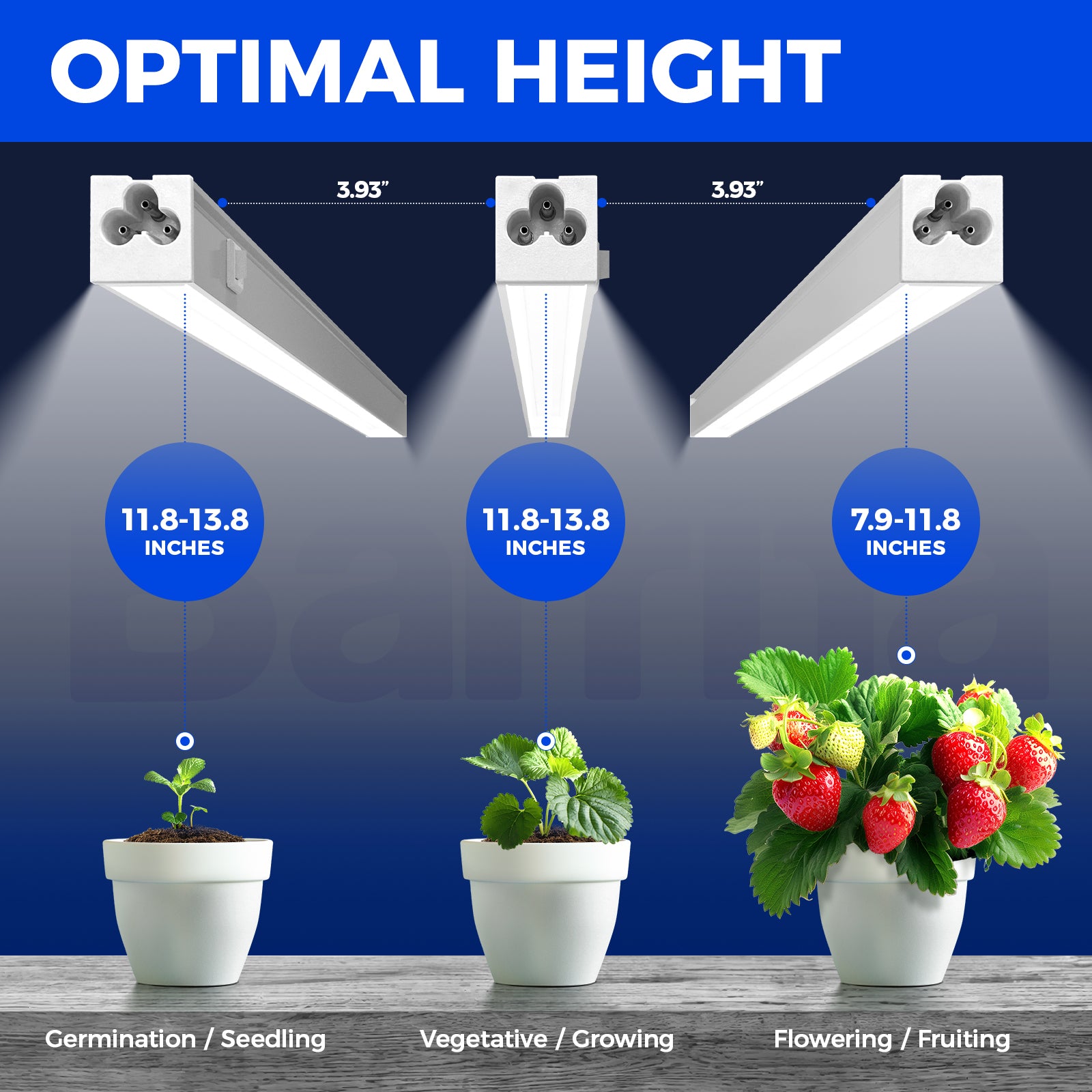 Barrina T5 5W LED Grow Lights 1FT 5000K | Full Specturm & Linkable | MC05