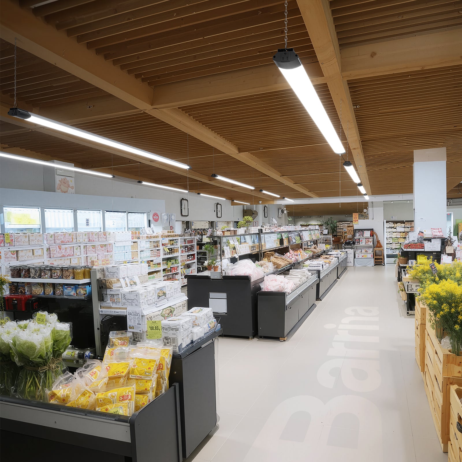 Barrina 168W LED Shop Lights 8FT 5000K 16800LM | Hanging, Linkable & Power Plug Cords | BS168