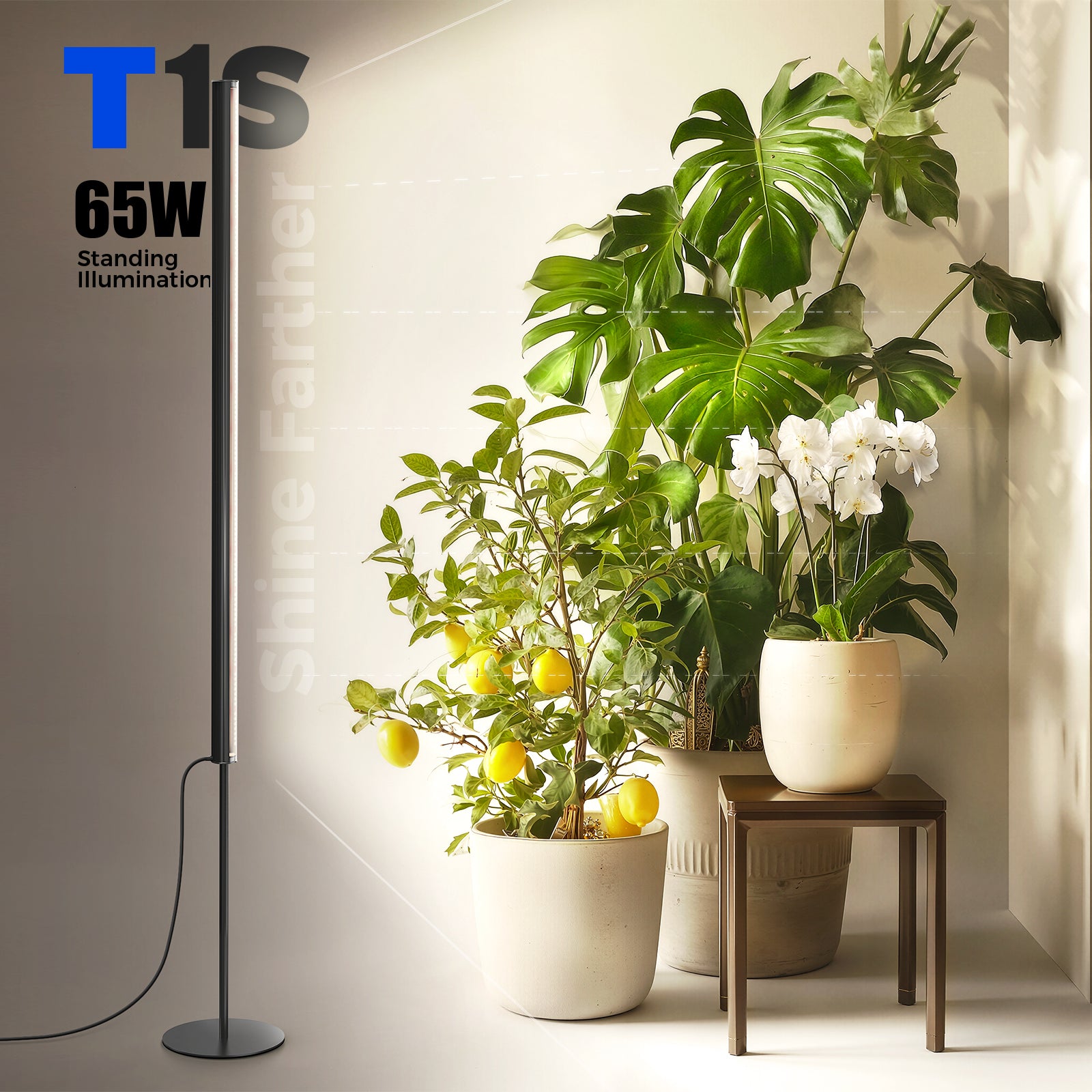 Barrina T1S 65W LED Standing Grow Light 5FT-5.6FT 3000K+6500K+660nm | Full Spectrum & Timer | K10R65