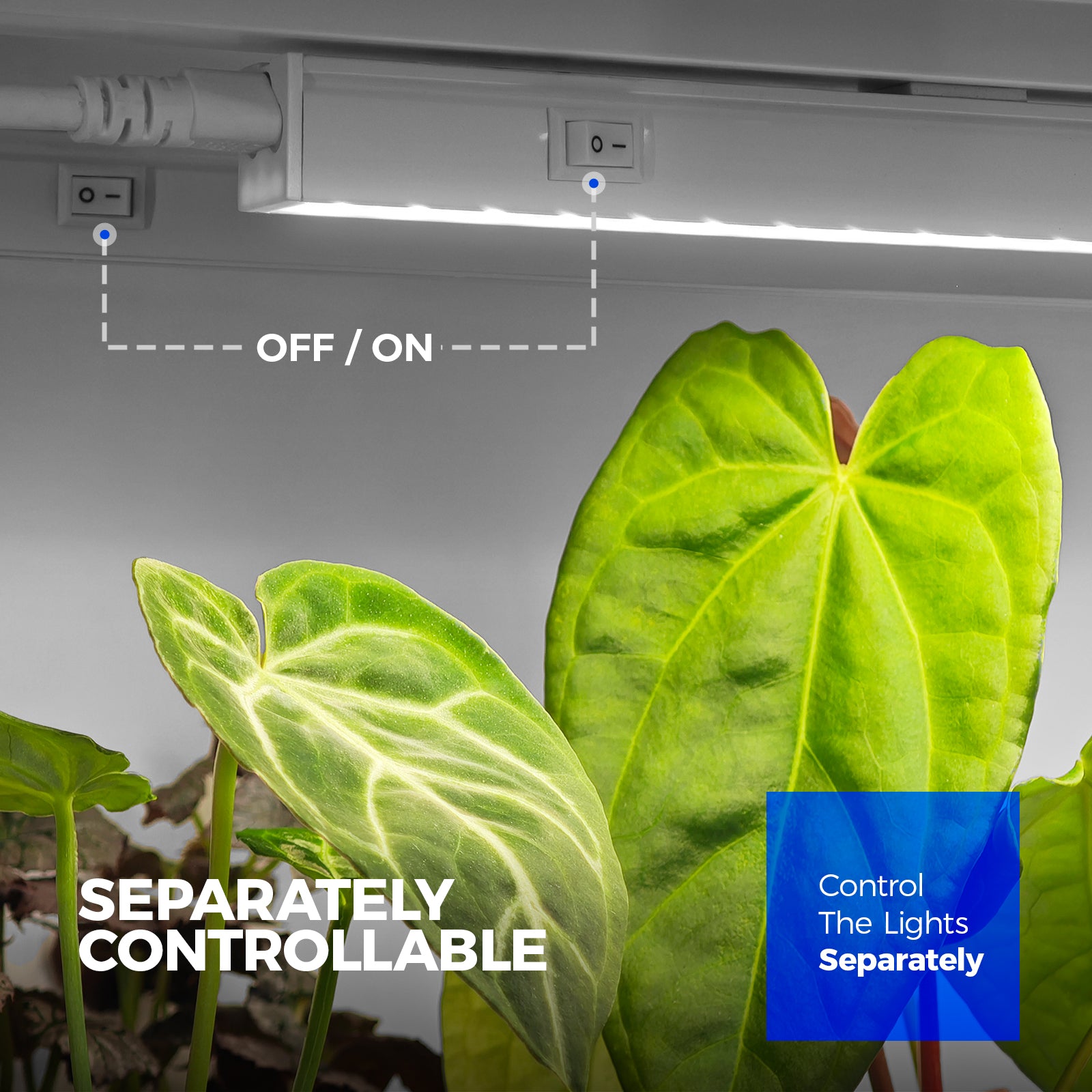 Barrina T5 5W LED Grow Lights 1FT 5000K | Full Specturm & Linkable | MC05