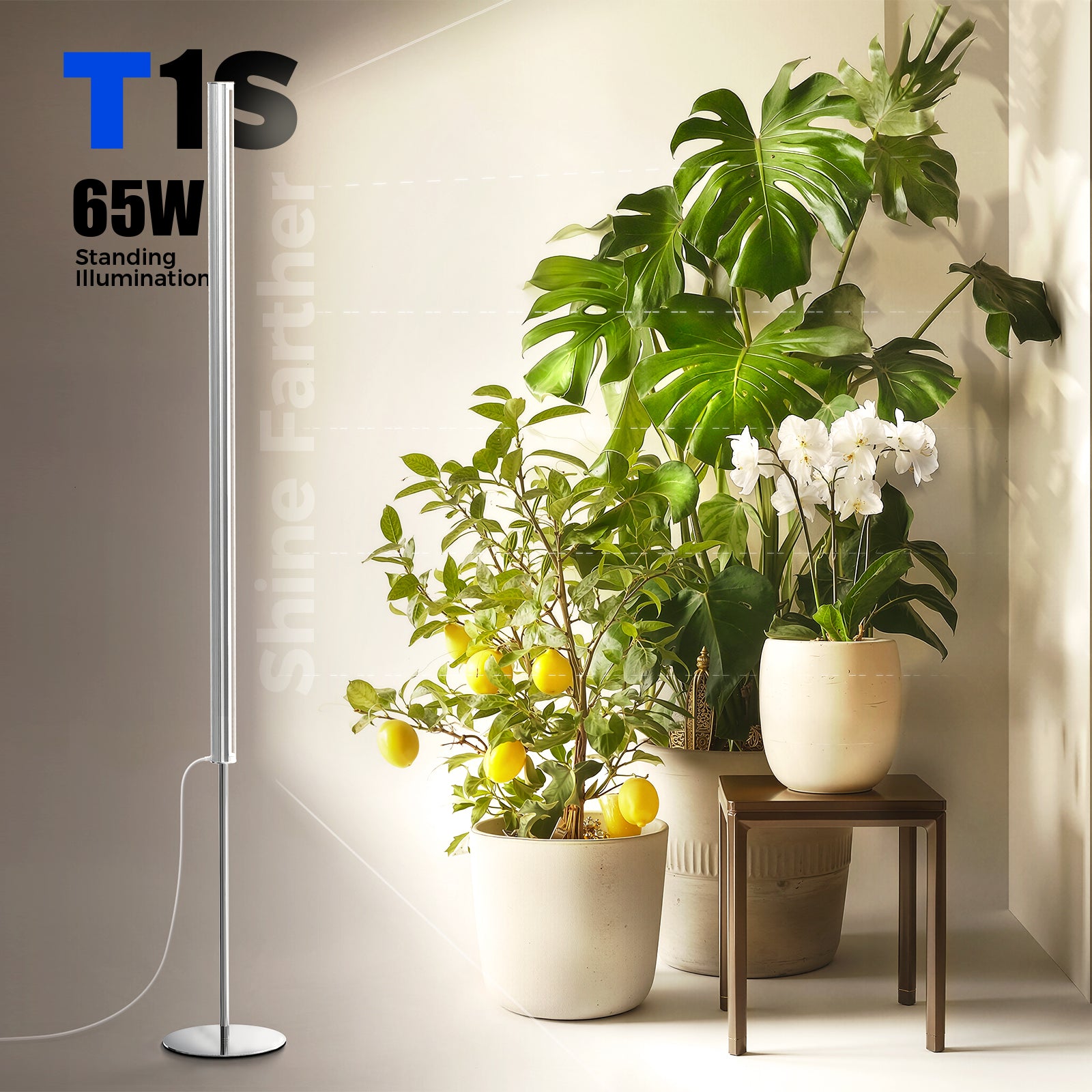 Barrina T1S 65W LED Standing Grow Light 5FT-5.6FT 3000K+6500K+660nm | Full Spectrum & Timer | K10R65