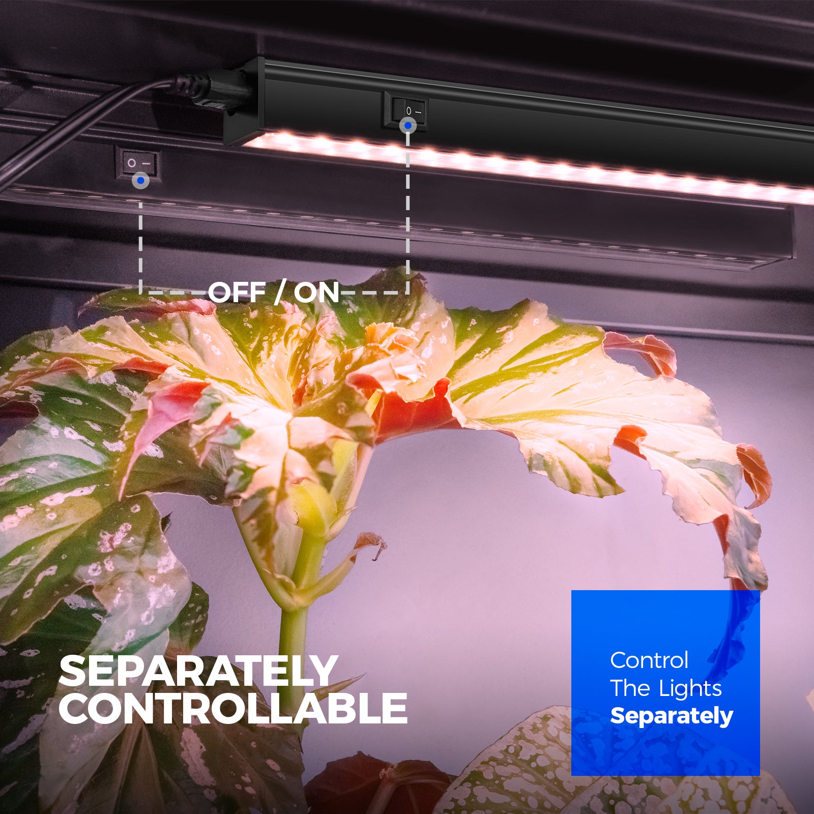 Barrina T5 5W LED Grow Lights 1FT Pinkish White | Magnetic Installation & Linkable | NC05