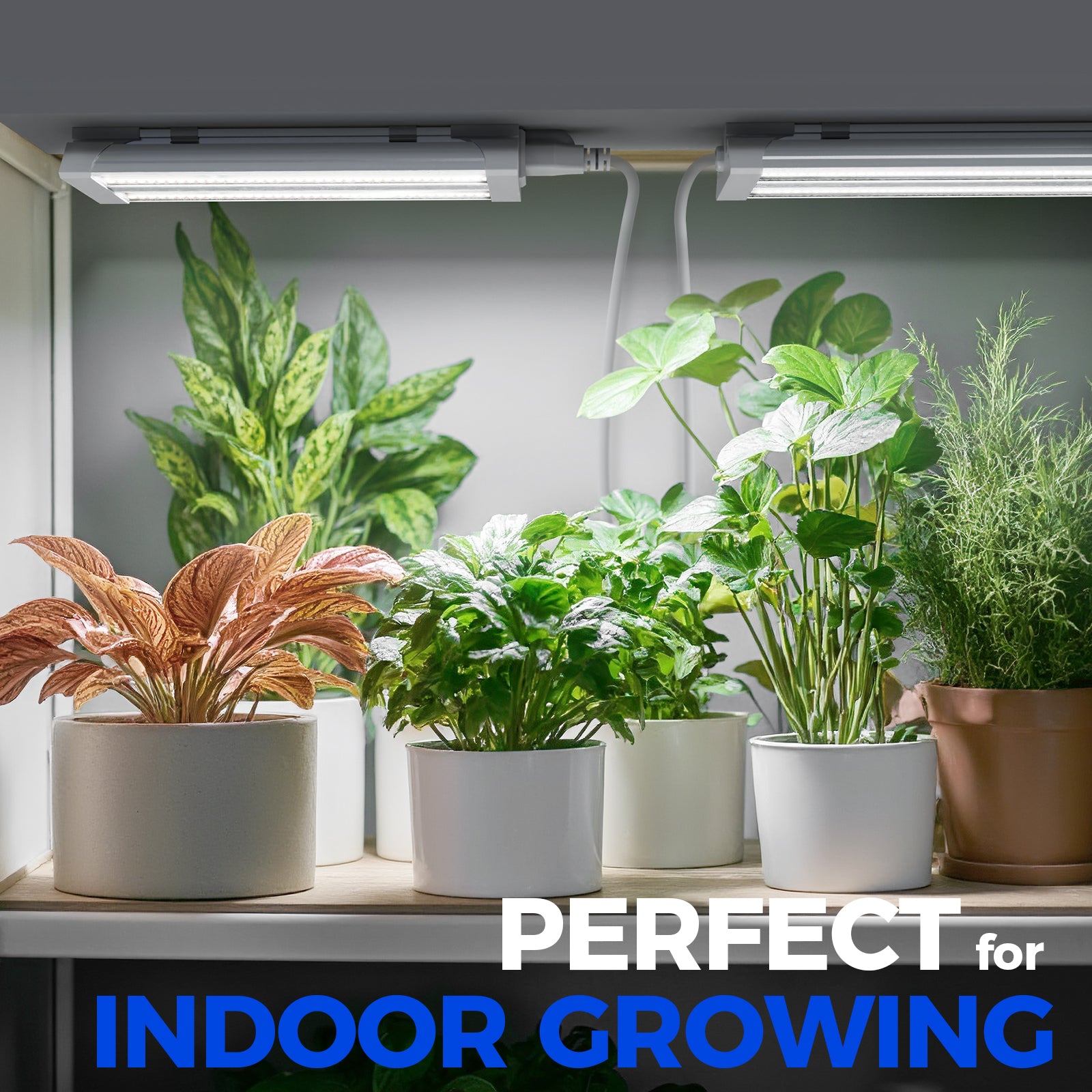 Barrina TX18 18W LED Grow Lights 1FT 5000K | Full Spectrum & Linkable | TXAL18