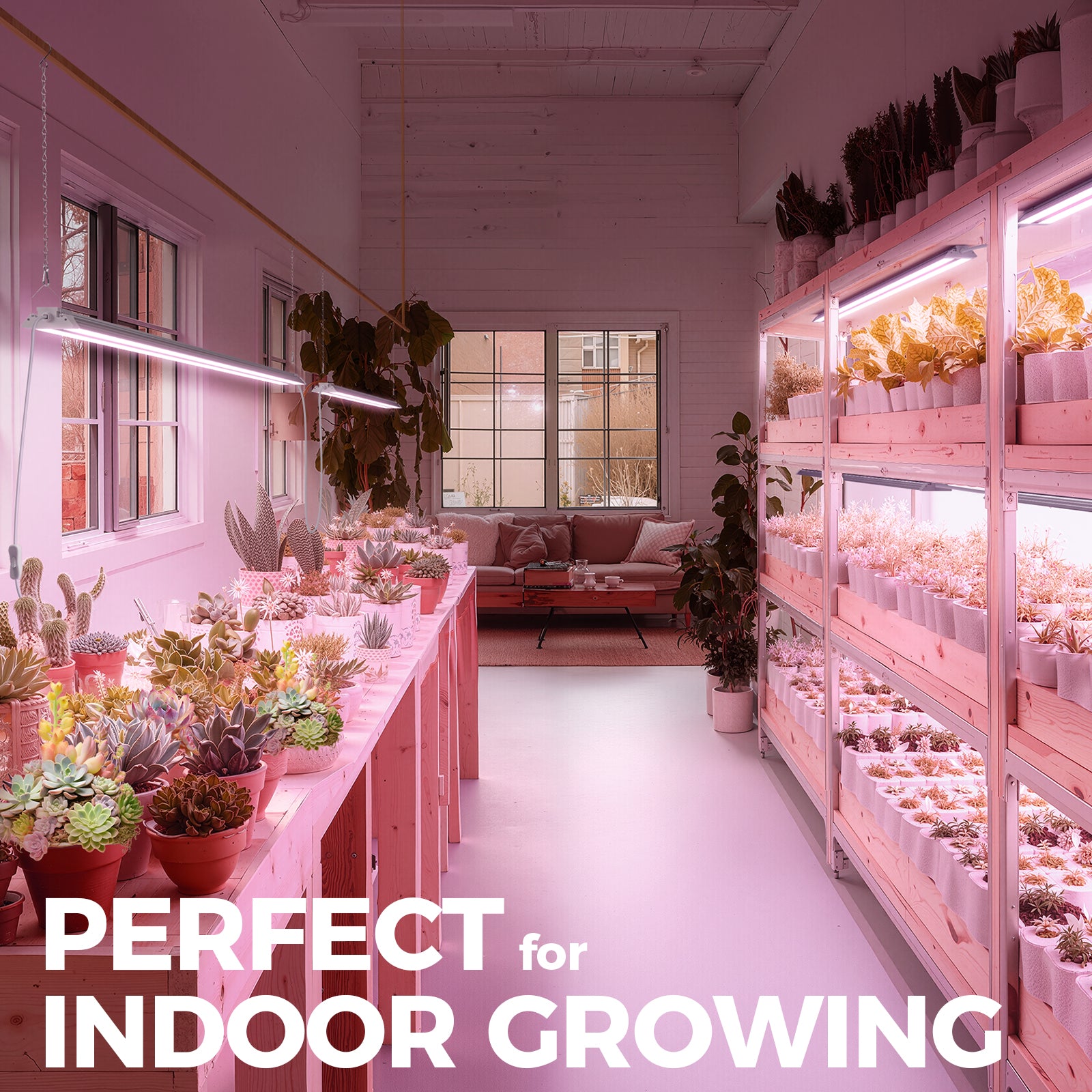 Barrina TX72 72W LED Grow Lights 4FT Purple Light | Full Spectrum & Linkable | TX-72