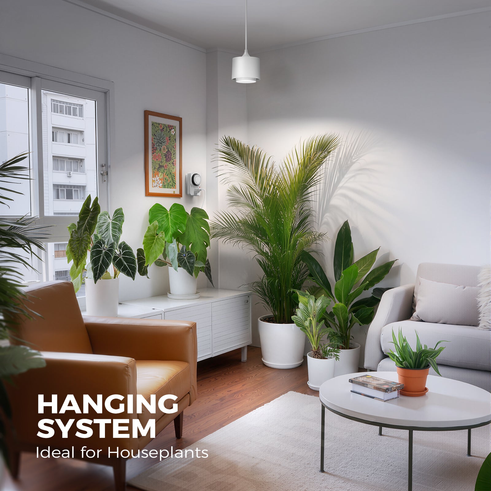 ull Spectrum, Hanging & Timer | TR40 (White)