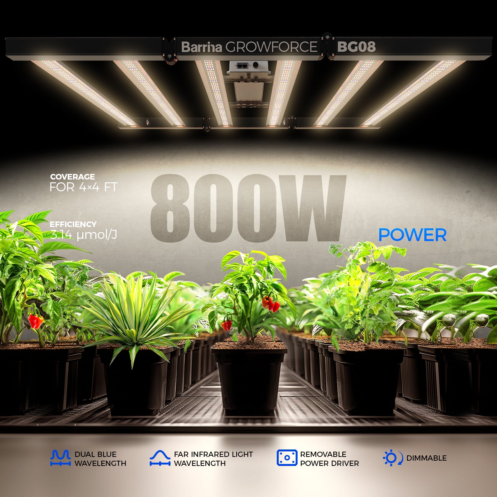 Barrina GrowForce 800W LED Commercial Grow Light Dual Blue & FIR Light 5 x 5 | Full Spectrum & Dimmable | BG08