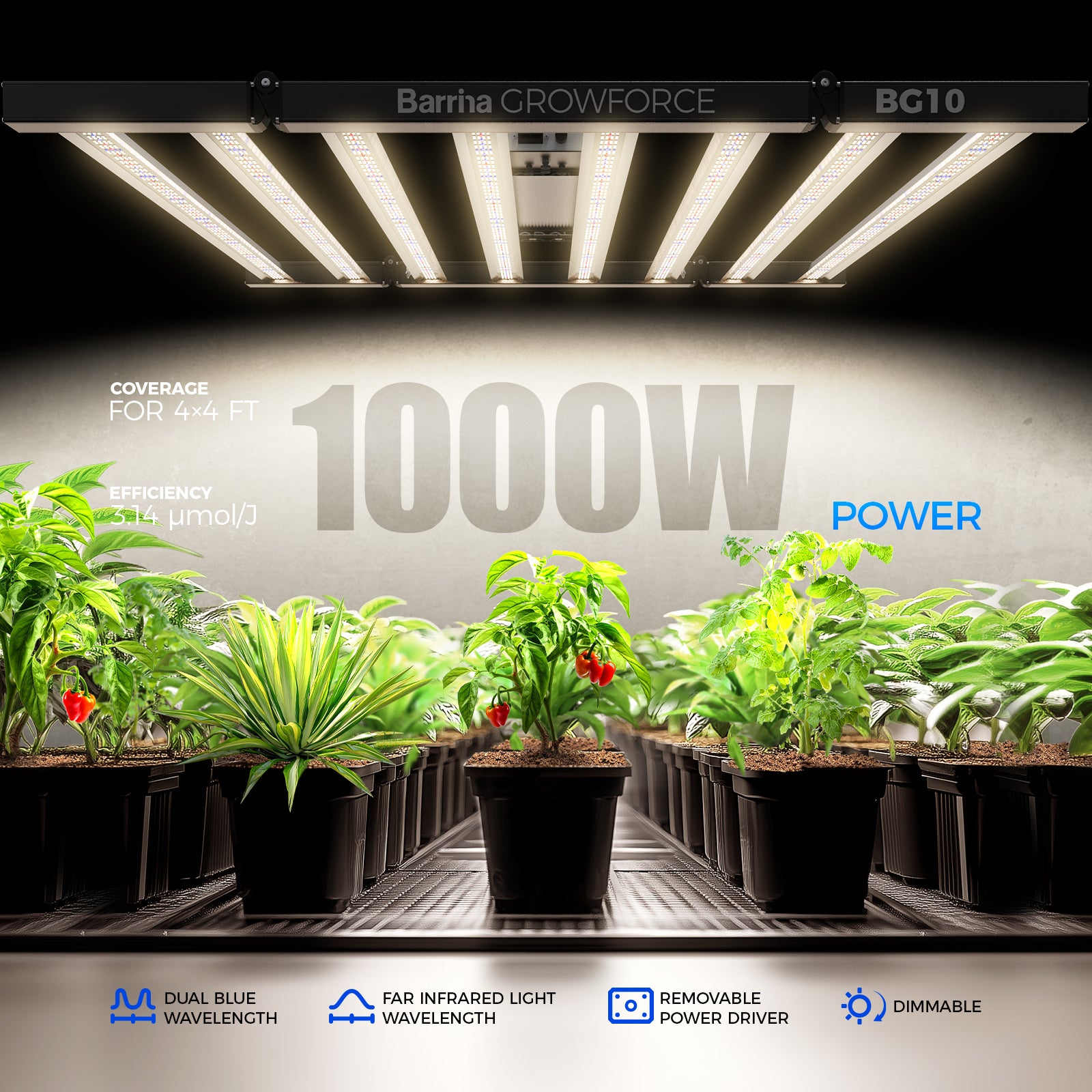 Barrina GrowForce 1000W LED Commercial Grow Light Dual Blue & FIR Light 5 x 5 | Full Spectrum & Dimmable | BG10