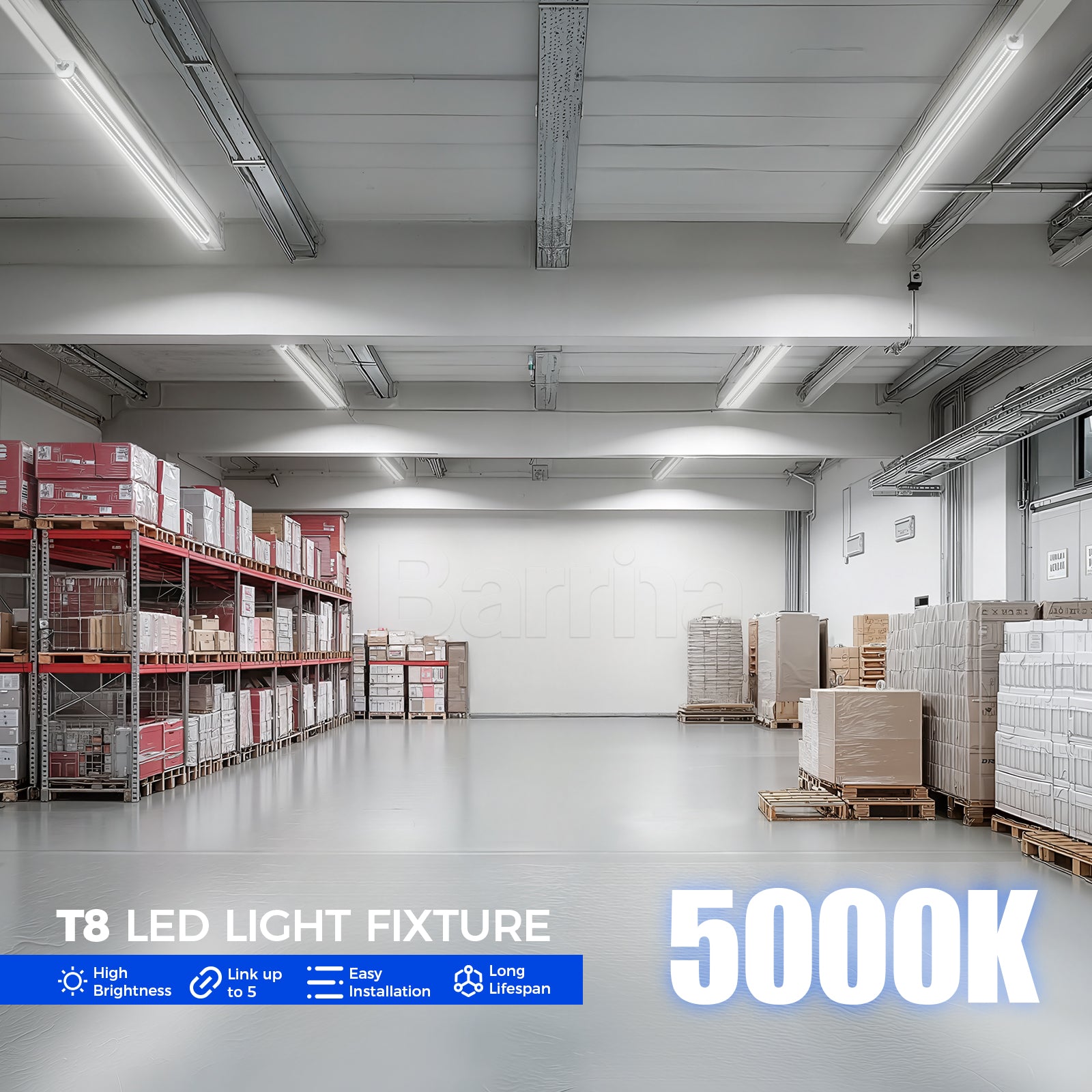 Barrina T8 50W LED Shop Lights 4FT 5000K | Clear Cover & V Shape Tube | BAL50