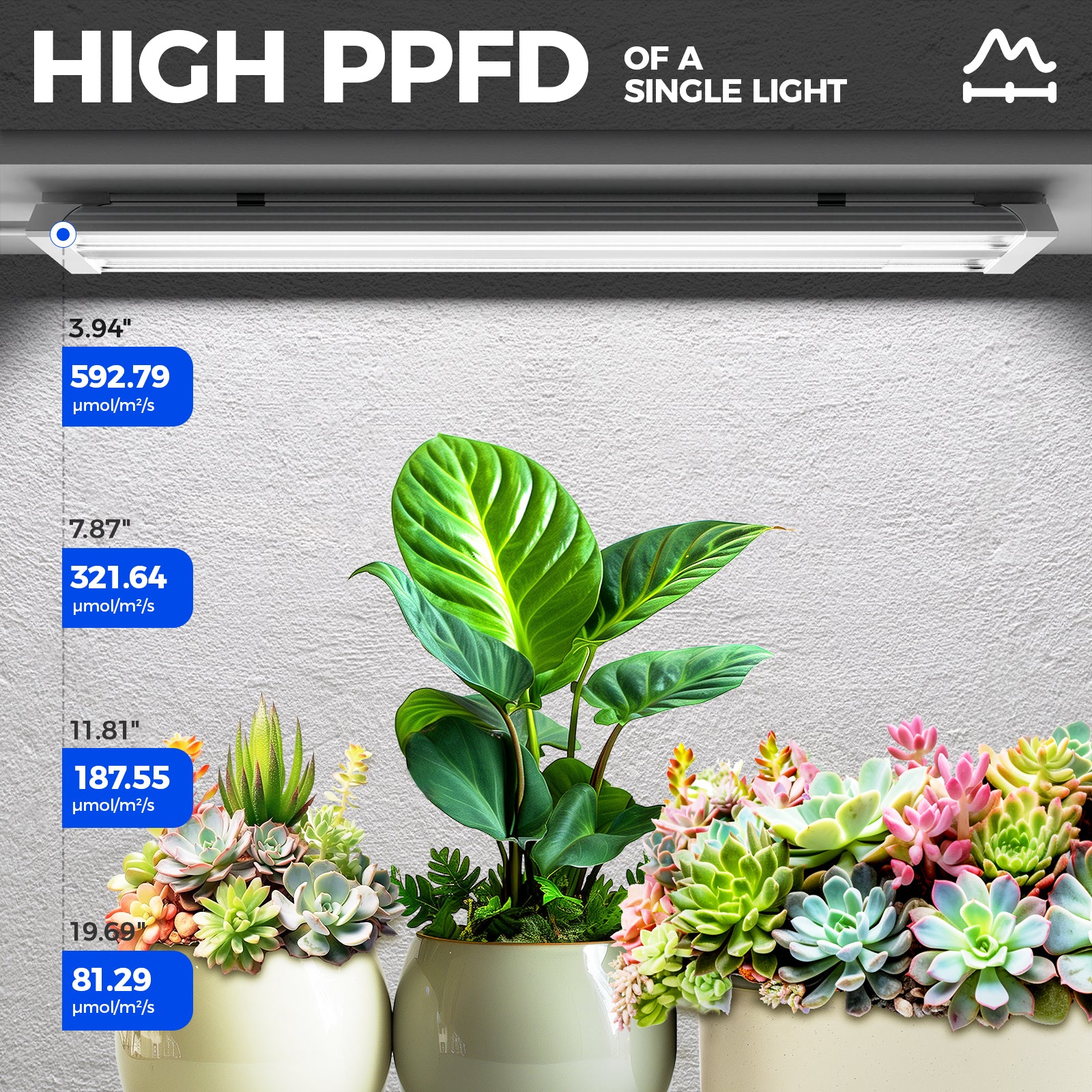 Barrina TX36 36W LED Grow Lights 2FT 5000K | Full Spectrum & Linkable | TXAL36