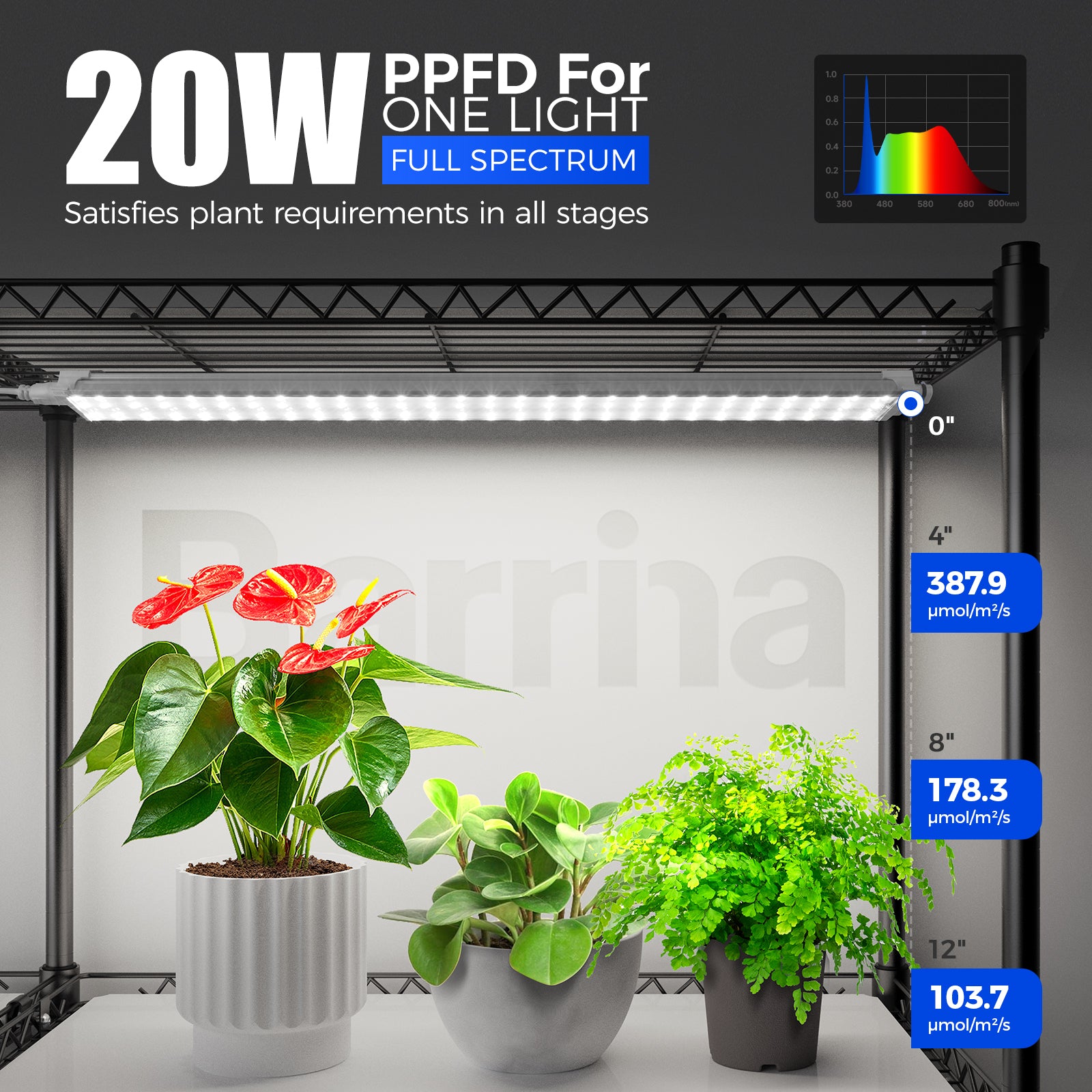 Barrina 5-Tier Plant Stand with 8-Pack T5 20W LED Grow Lights 1.6FT 5000K | Full Spectrum & Timer | WE20