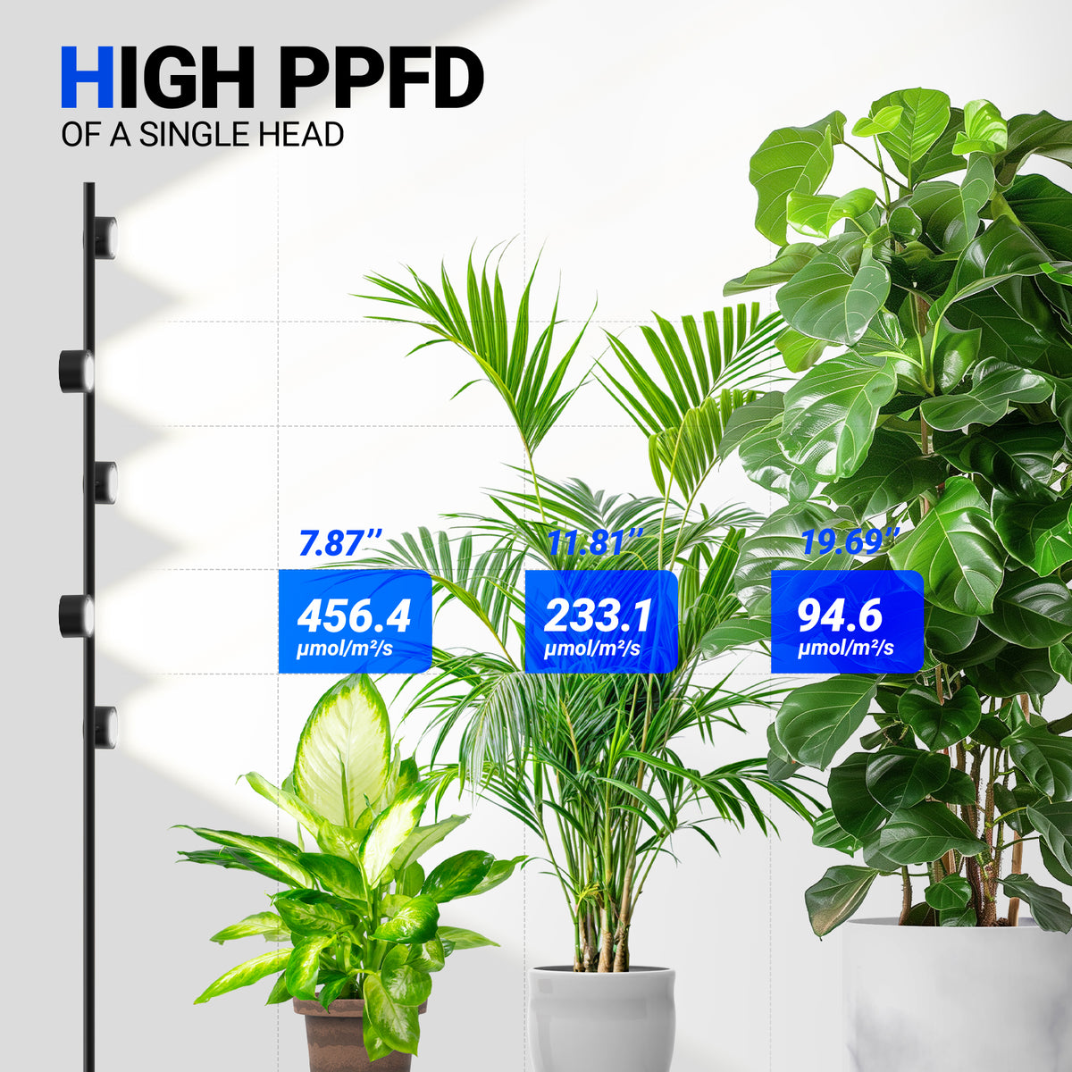 Barrina T1X5 50W LED Standing Grow Light 6FT 5000K with Timer | Full Spectrum & Adjustable 5 Heads | T1X5