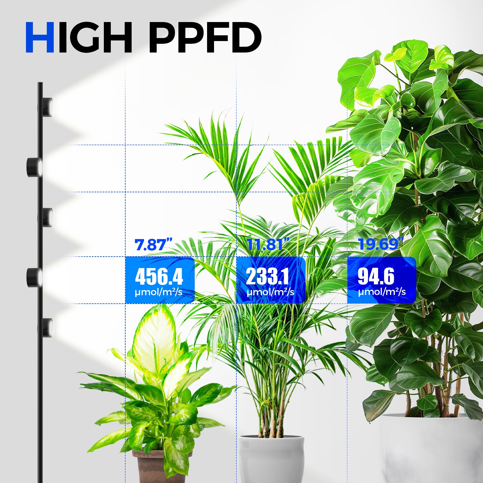 Barrina T1X5 50W LED Standing Grow Light 6FT 5000K | Full Spectrum & Adjustable 5 Heads | T1X5