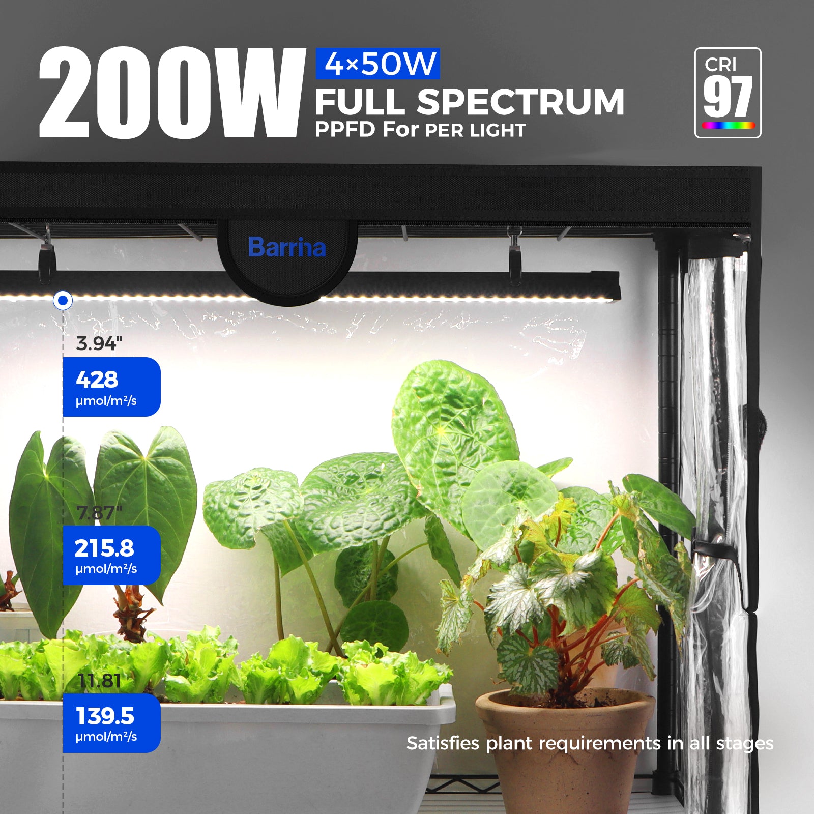 Barrina LP1200 Greenhouse with 4-Pack 50W TX-S50 Grow Lights 3.2FT 5000K | Full Spectrum, Tent, Thermo-Hygrometer & Timer | LP1200