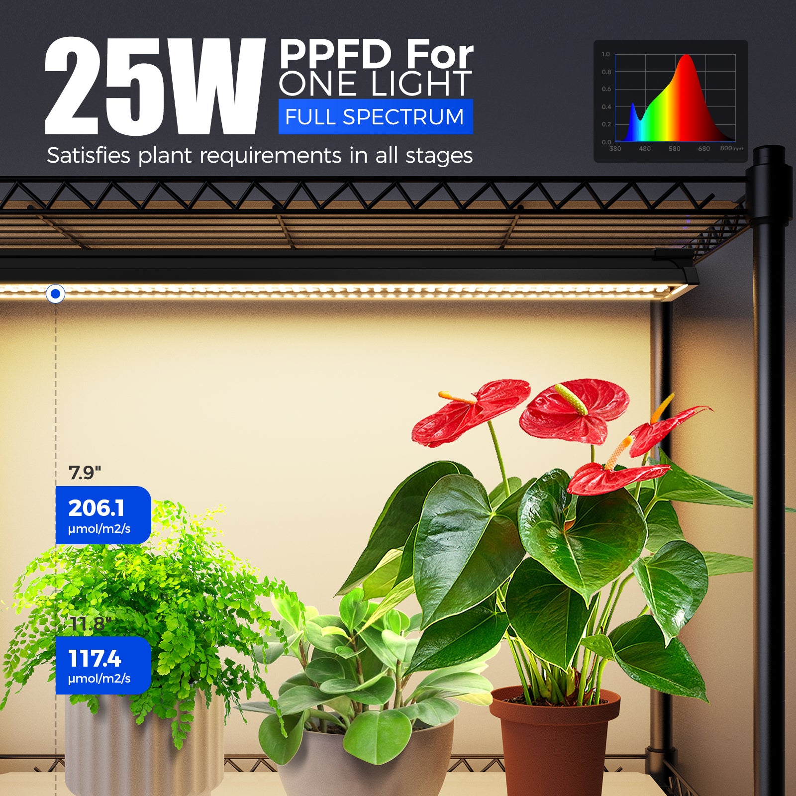 Barrina 5-Tier Plant Stand with 4-Pack 25W TX Series Grow Lights 1.6FT Yellow Light | Full Spectrum & Timer | CX91