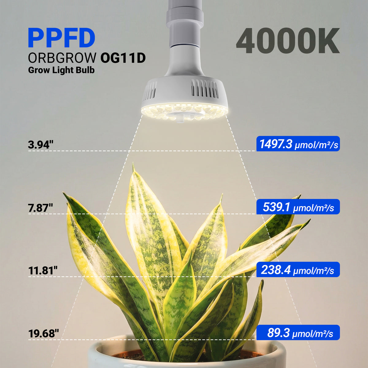 Barrina Orbgrow 11W LED Grow Light Bulb 4000K | Full Spectrum,Dimmable,Timer & E26 Base | OG11D (White)