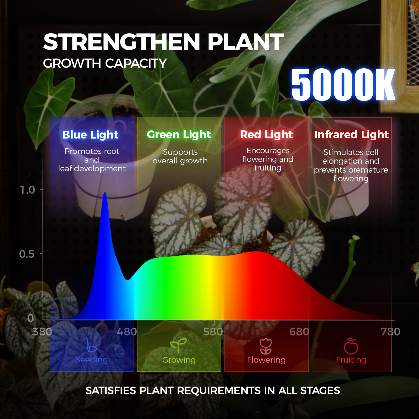 Barrina LH750 Greenhouse with 4-Pack Grow Lights 2FT 5000K | Full Spectrum, Pegboards, Tent, Thermo-Hygrometer & Timer | LH750