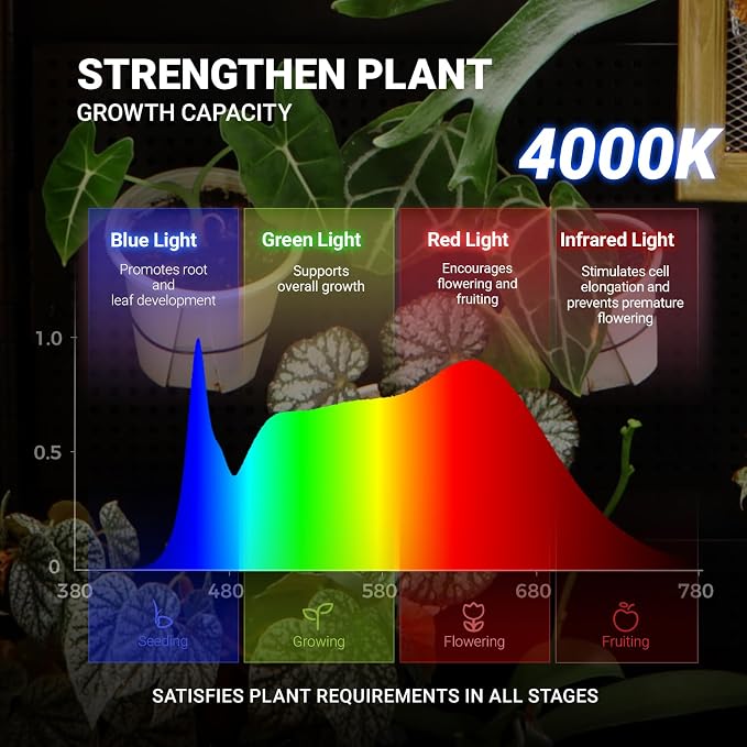 Barrina LH600 Greenhouse with 4-Pack Grow Lights 70W 4000K, | 3 Adjustable Pegboards& Timer | LH600