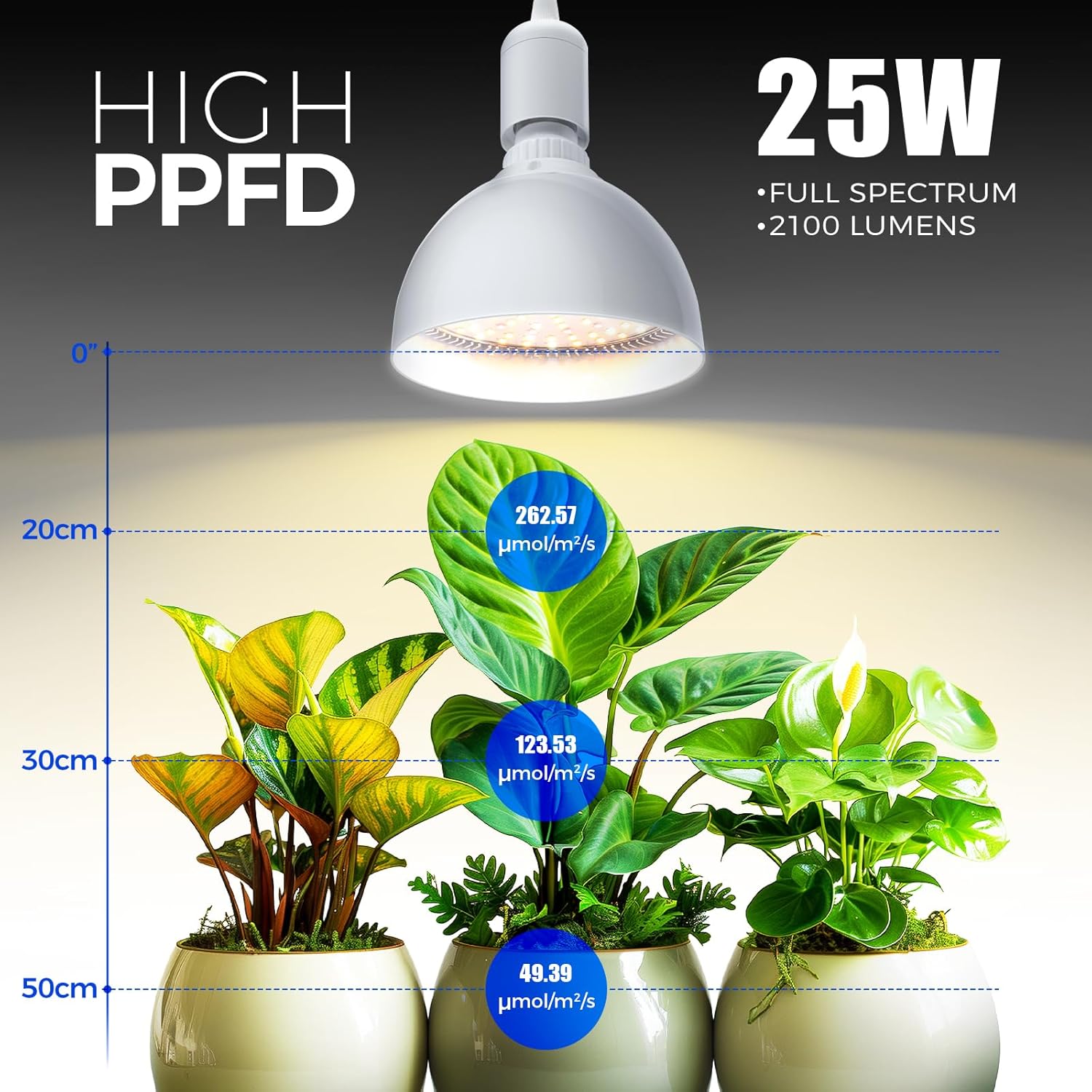 Barrina PAR38 25W LED Grow Light Bulb Yellow Light | Full Spectrum, Hanging & Timer | TB25