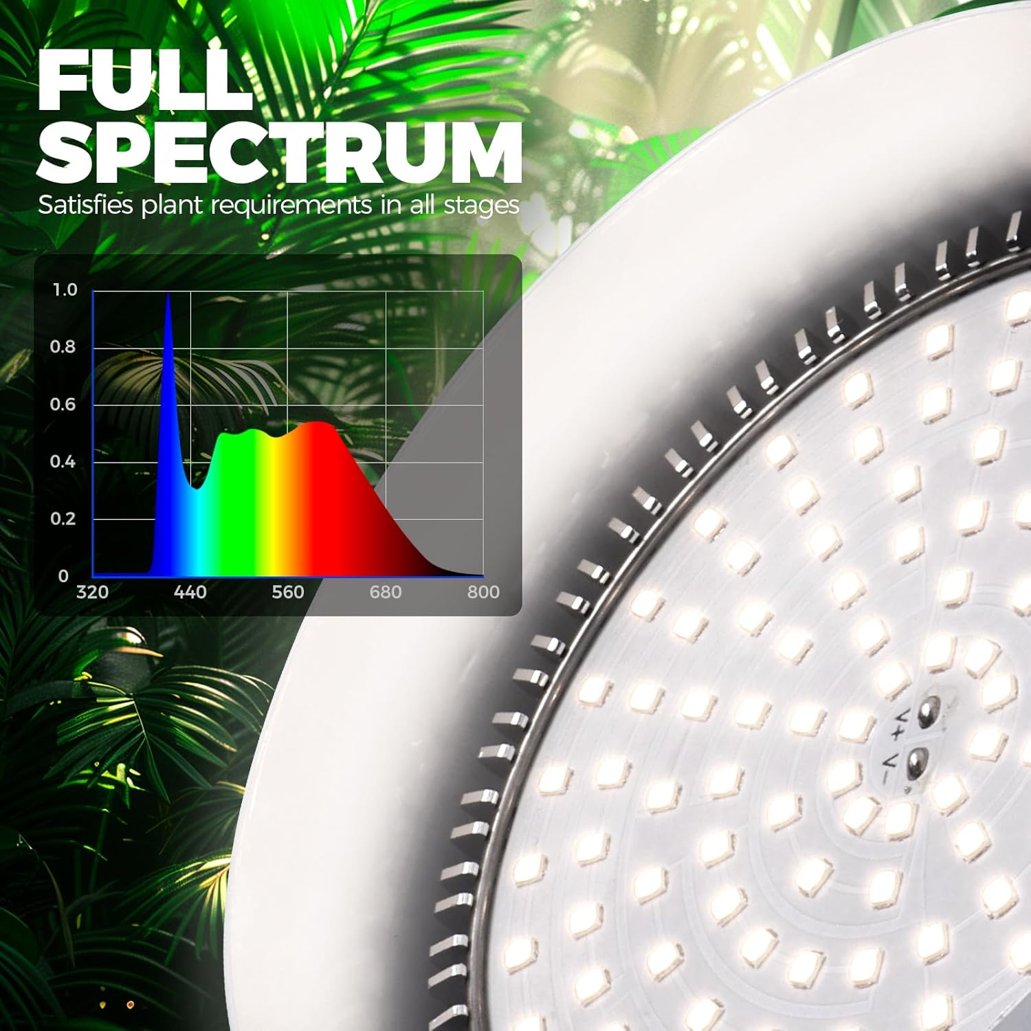 Barrina PAR38 25W LED Grow Light Bulb 5000K | Full Spectrum, Hanging & Timer | TB25