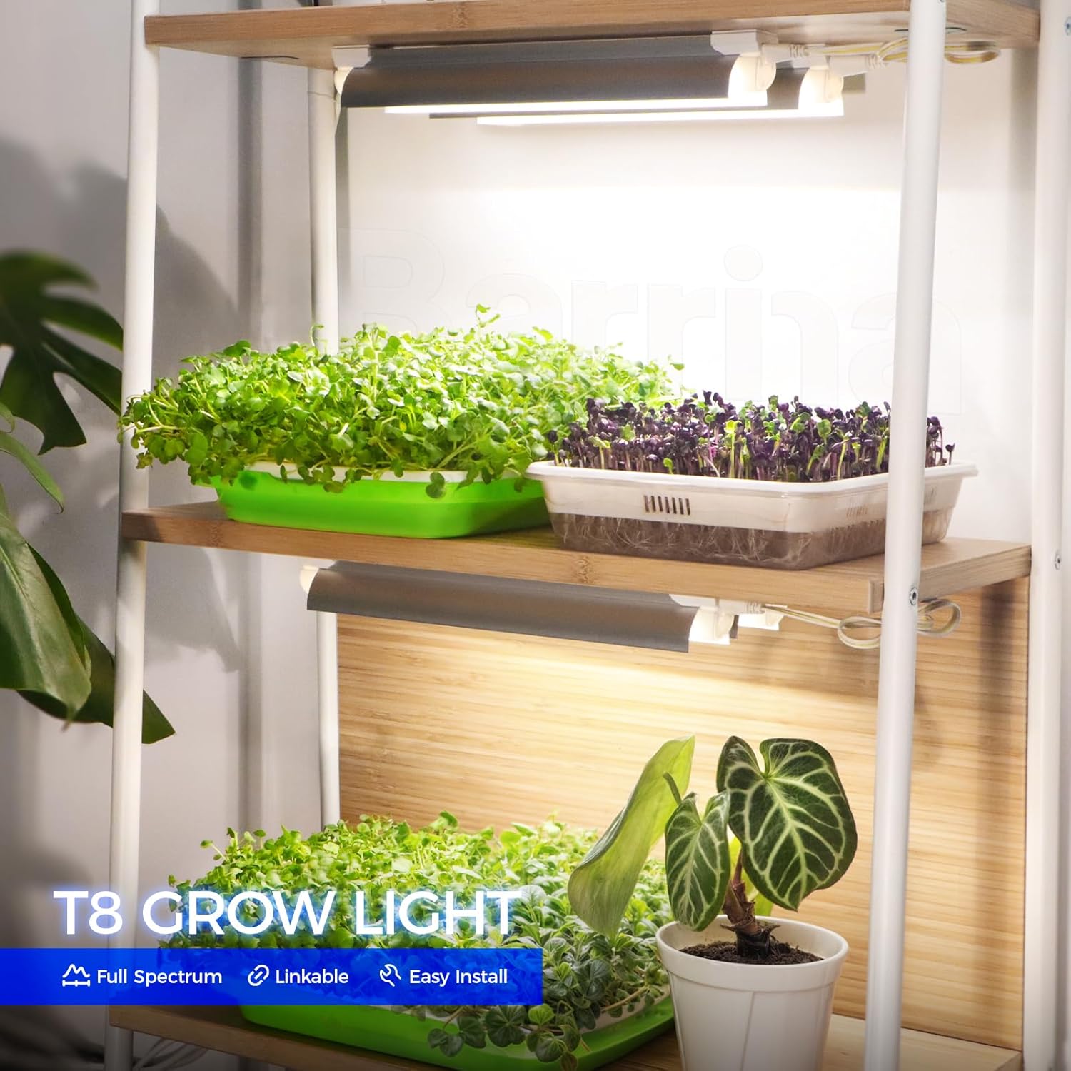 Barrina T8 15W LED Grow Lights 1FT 5000K | Full Spectrum, Reflectors & Linkable | QC15