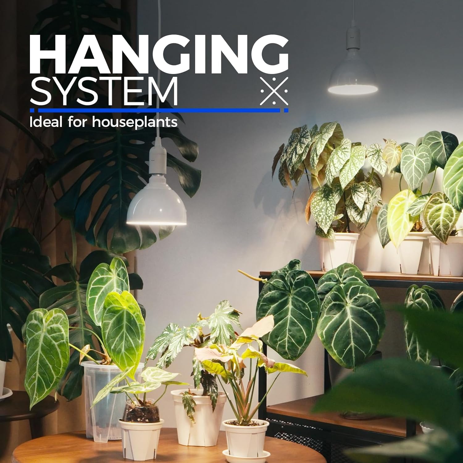 Barrina PAR38 25W LED Grow Light Bulb Yellow Light | Full Spectrum, Hanging & Timer | TB25