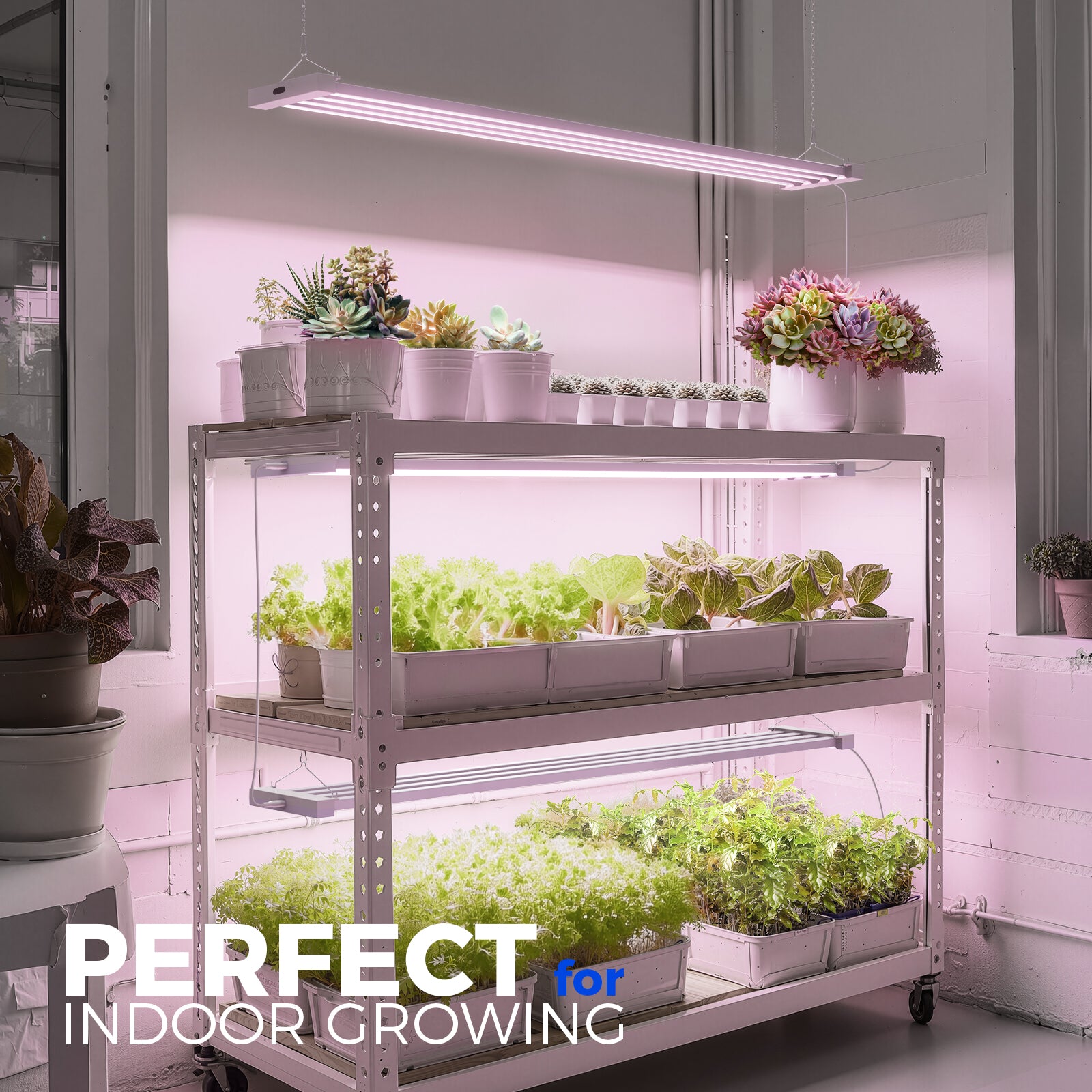 Barrina TX-L84 84W LED Grow Lights 4FT Pinkish White | Full Spectrum & Linkable | TX-L84