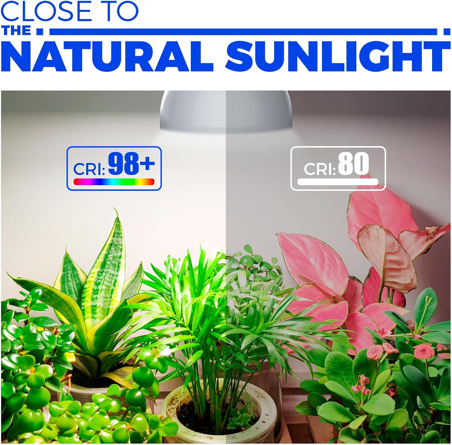 Barrina PAR38 25W LED Grow Light Bulb 5000K | Full Spectrum, Hanging & Timer | TB25