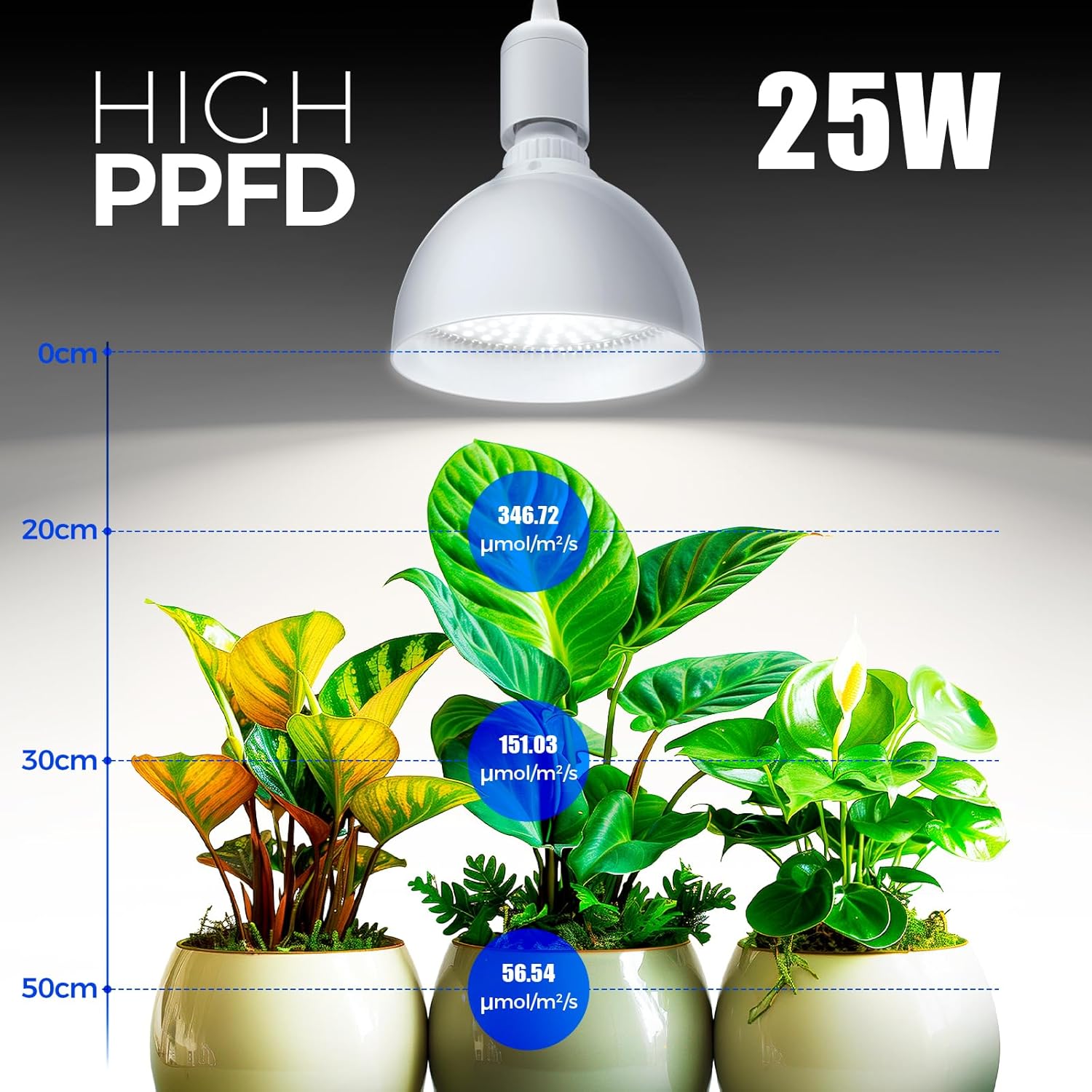 Barrina PAR38 25W LED Grow Light Bulb 5000K | Full Spectrum, Hanging & Timer | TB25