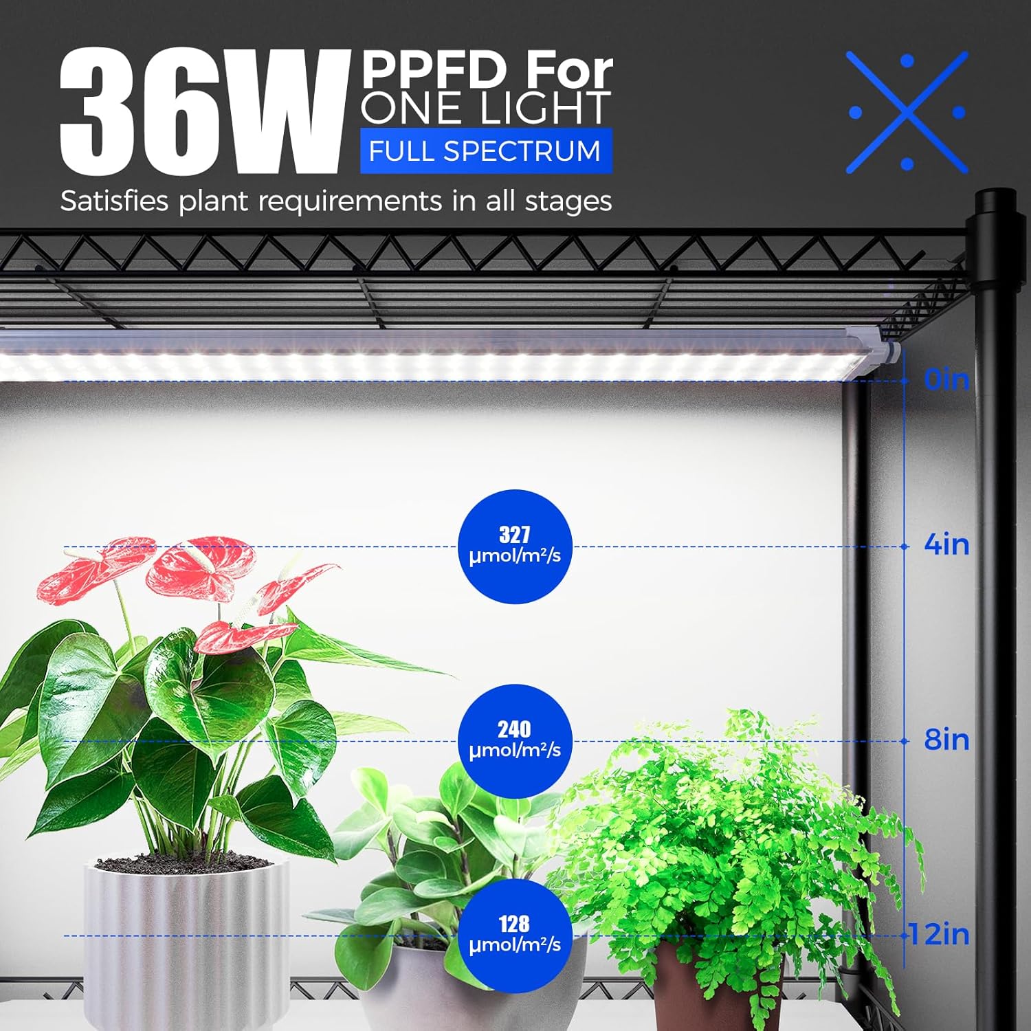 Barrina 4-Tier Plant Stand with 3-Pack T5 36W LED Grow Lights 3FT 5000K | Full Spectrum, Tent & Timer | WI36