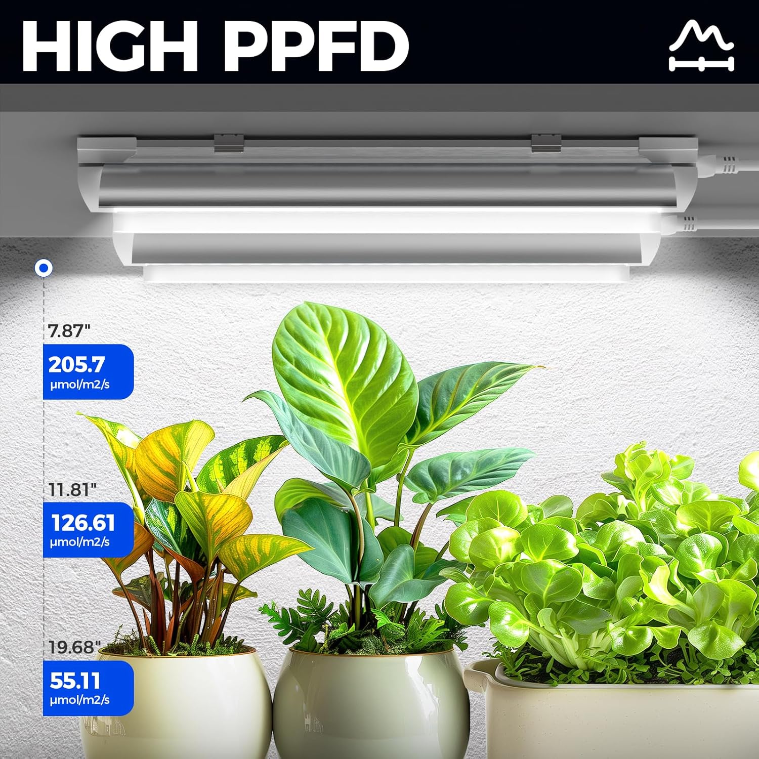 Barrina T8 15W LED Grow Lights 1FT 5000K | Full Spectrum, Reflectors & Linkable | QC15