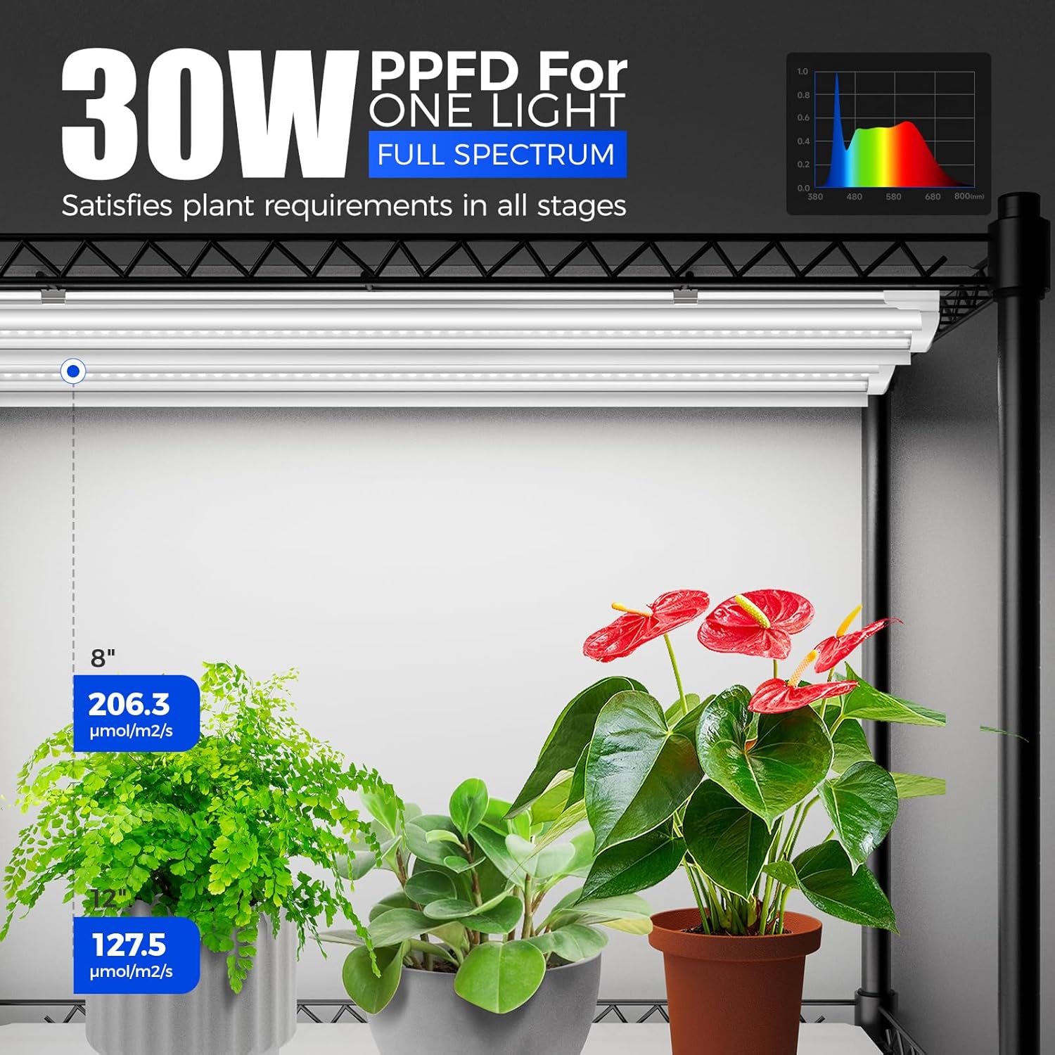 LED grow light with plants and measurement data on a white background