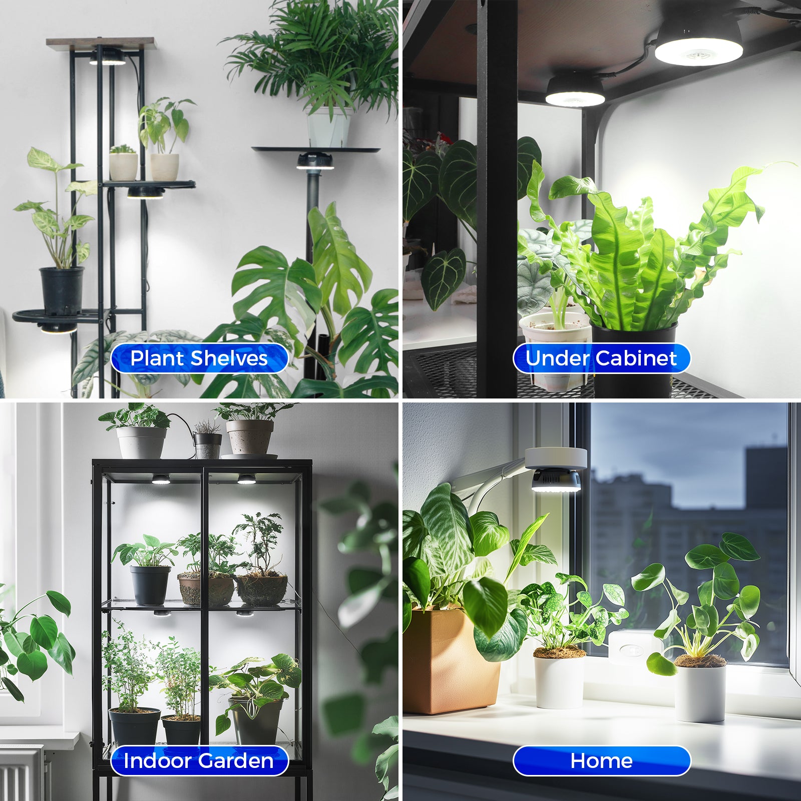 Barrina Orbgrow 9W LED Puck Grow Lights 5000K | Full Spectrum, Magnetic, Timer, Dimmable & Linkable | OG09