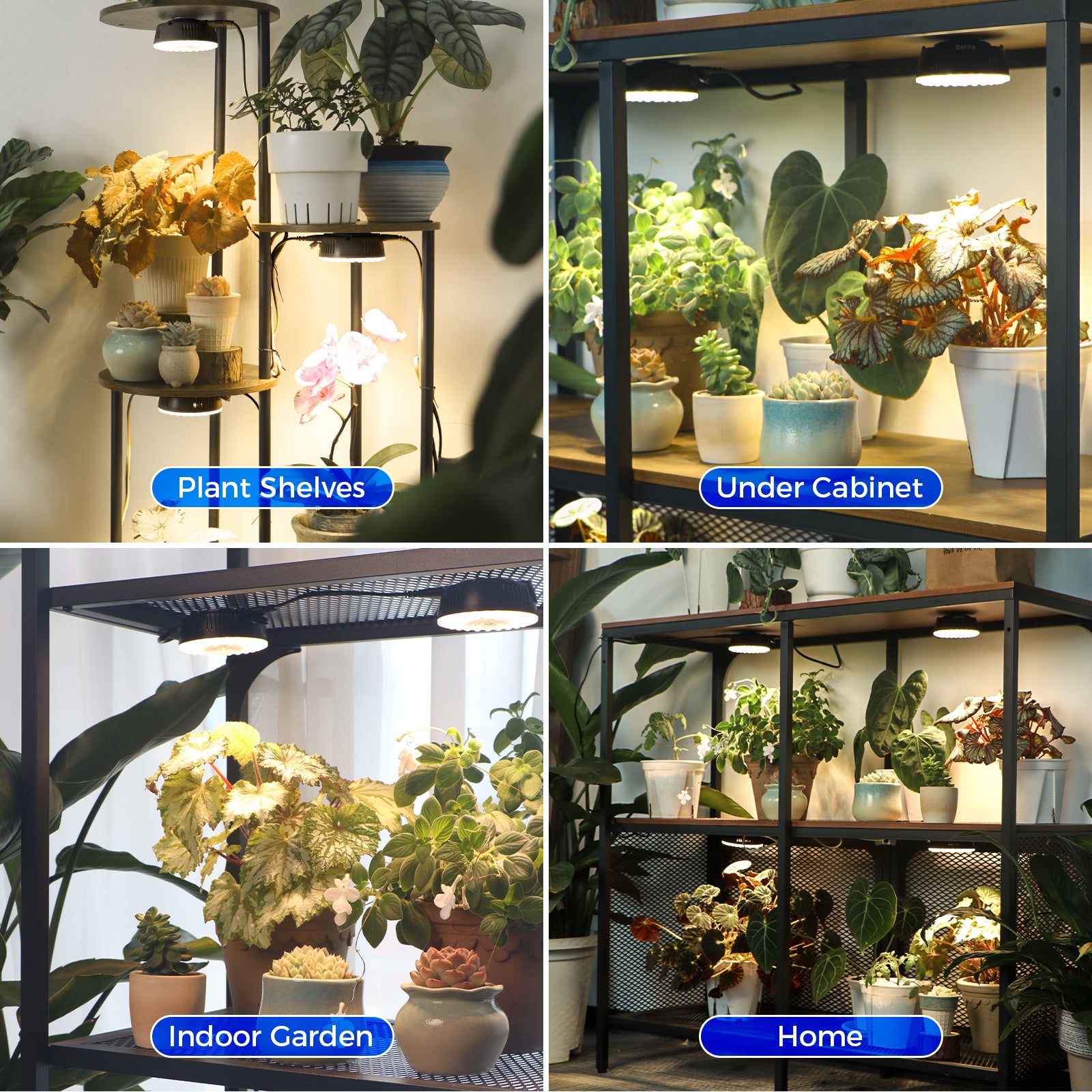 Barrina Orbgrow 9W LED Puck Grow Lights 3000K+6500K+660nm | Full Spectrum, Magnetic & Linkable | OG09