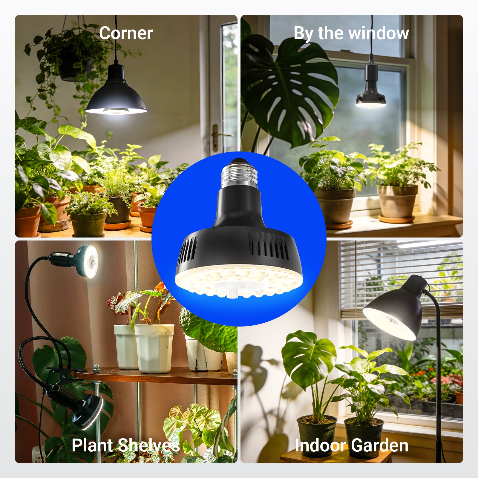 Barrina Orbgrow 11W LED Grow Light Bulb 4000K | Full Spectrum, Dimmable, Timer & E26 Base | OG11A (Black)