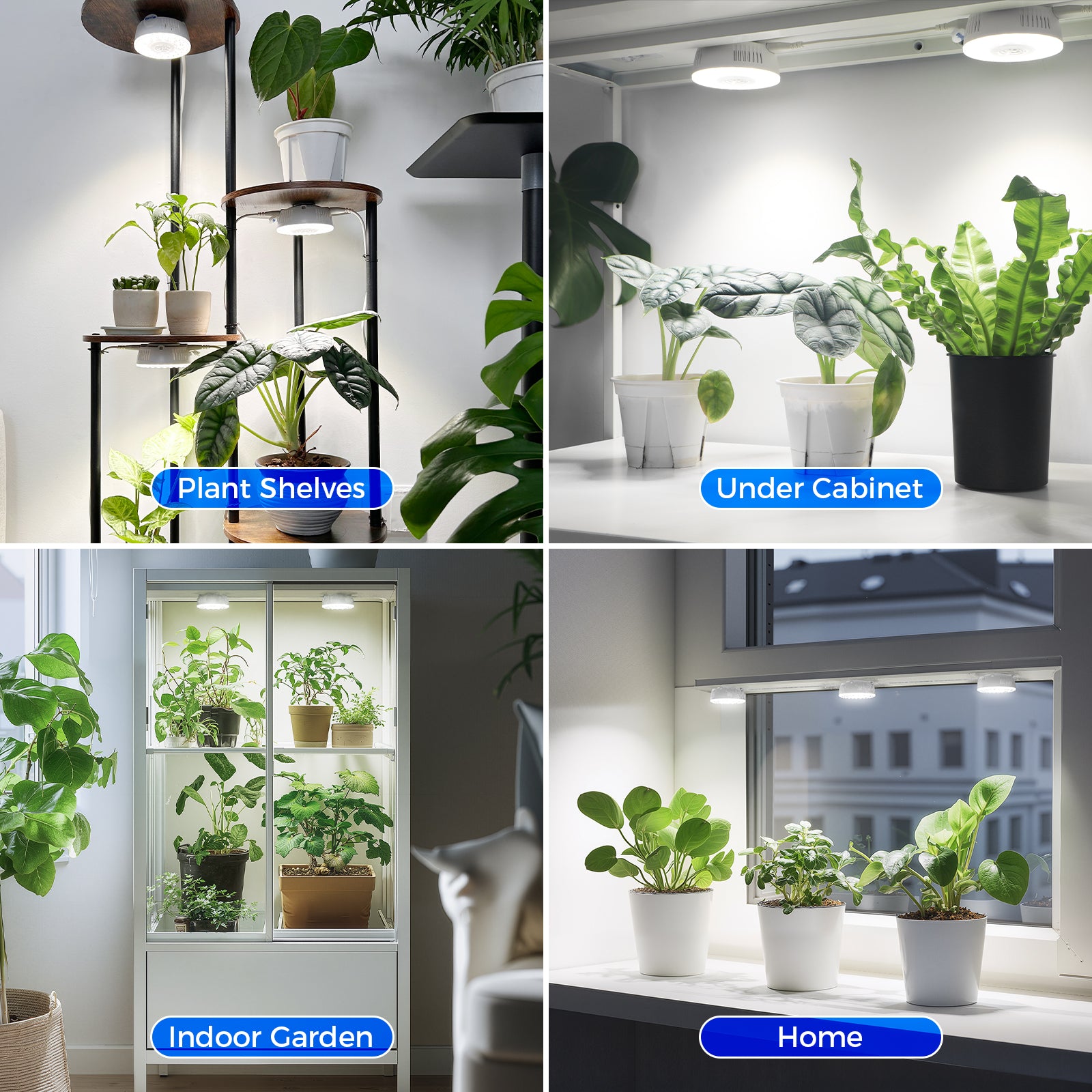 Barrina Orbgrow 9W LED Puck Grow Lights 5000K | Full Spectrum, Magnetic, Timer, Dimmable & Linkable | OG09