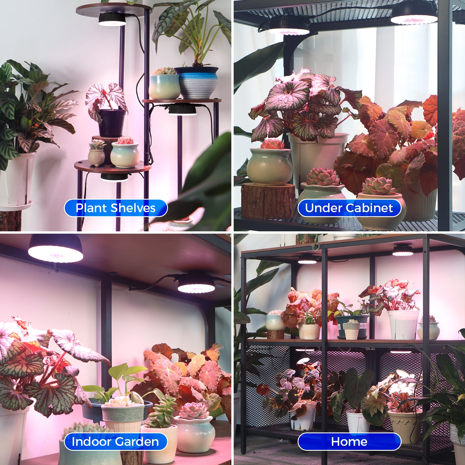 Barrina Orbgrow 9W LED Puck Grow Lights Pinkish White | Full Spectrum, Magnetic, Timer, Dimmable & Linkable | OG09