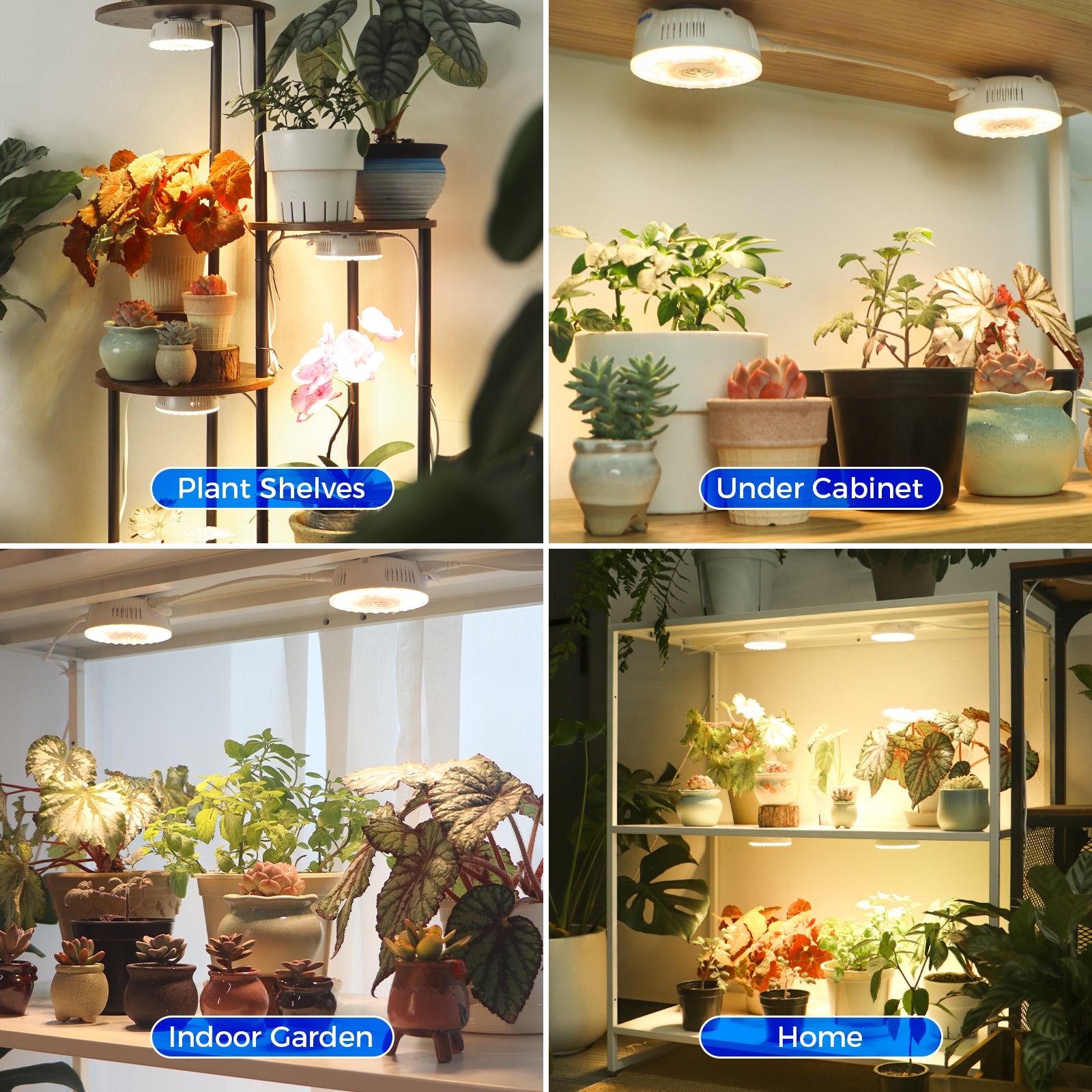 Barrina Orbgrow 9W LED Puck Grow Lights 3000K+6500K+660nm | Full Spectrum, Magnetic & Linkable | OG09