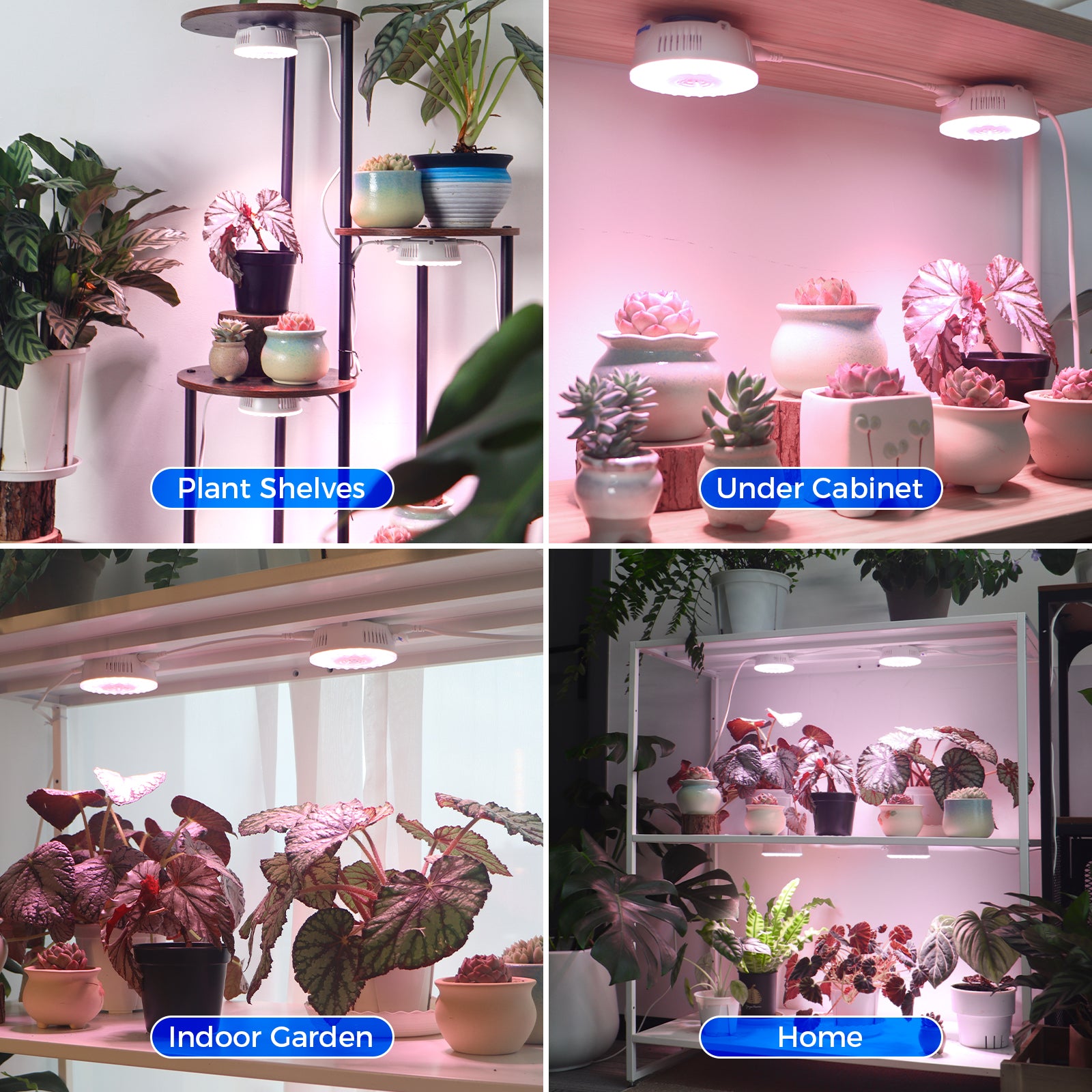 Barrina Orbgrow 9W LED Puck Grow Lights Pinkish White | Full Spectrum, Magnetic & Linkable | OG09