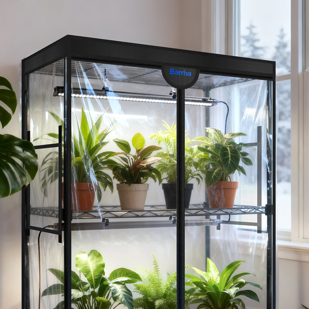 Winter Survival Guide for Indoor Plants